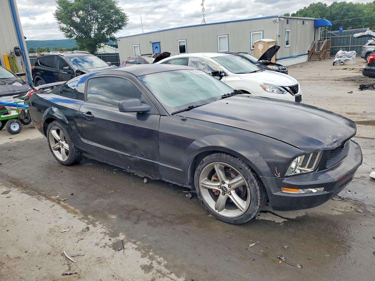 2005 Ford Mustang Черный vin: 1ZVFT80N755139559