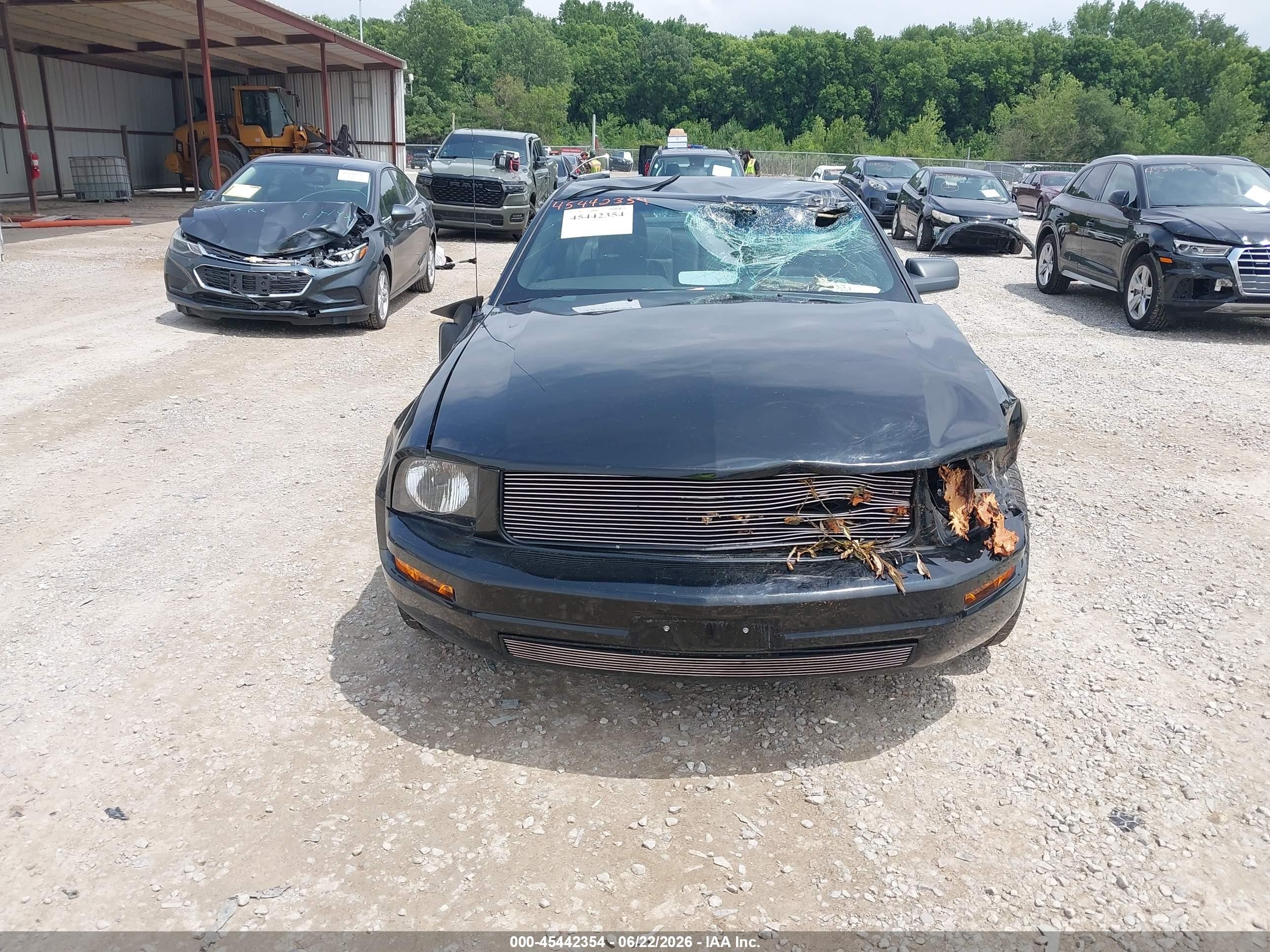 2005 Ford Mustang V6 Deluxe/v6 Premium Black vin: 1ZVFT80N755144129