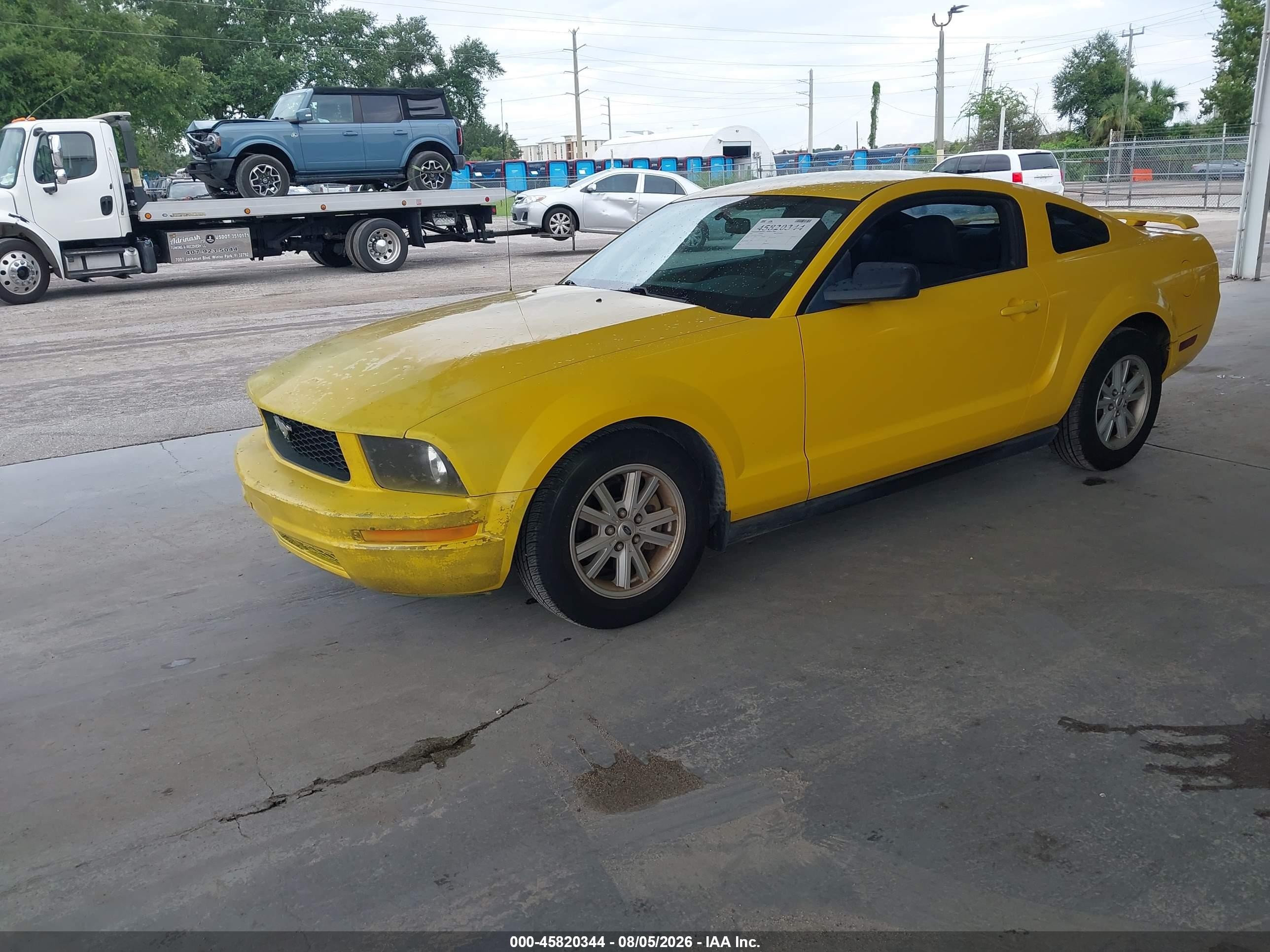2005 Ford Mustang V6 Deluxe/v6 Premium Yellow vin: 1ZVFT80N755175249