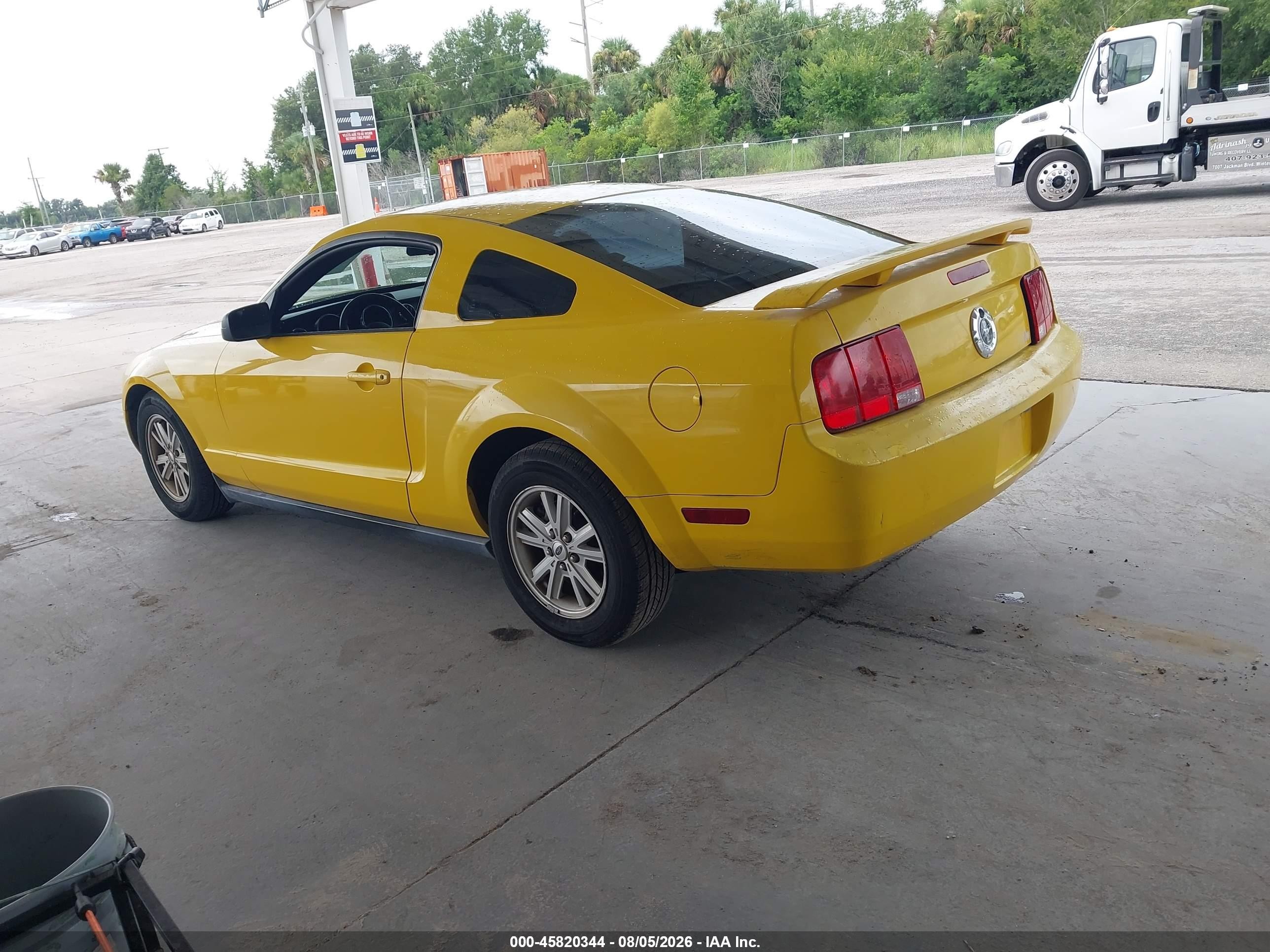 2005 Ford Mustang V6 Deluxe/v6 Premium Yellow vin: 1ZVFT80N755175249