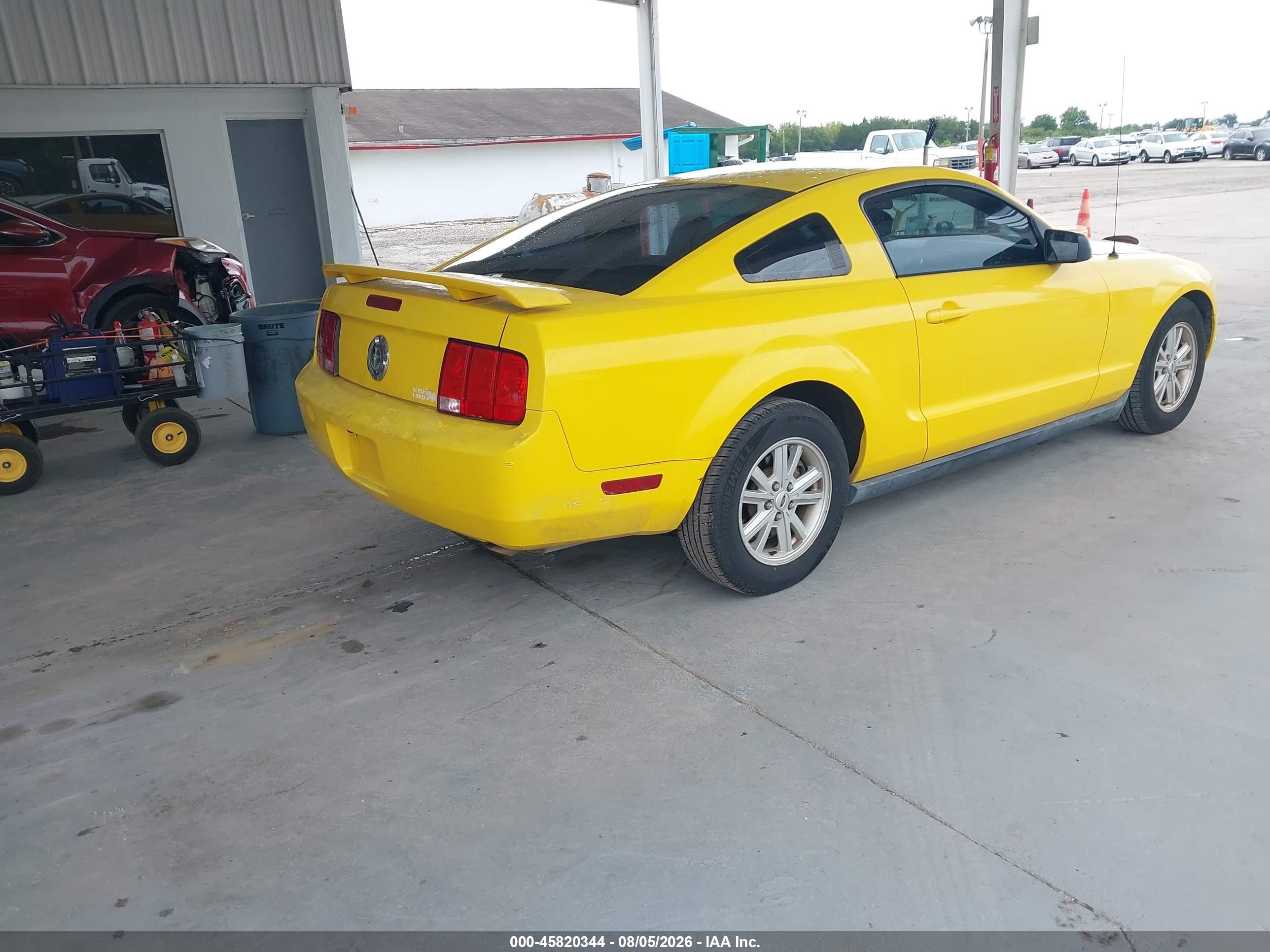 2005 Ford Mustang V6 Deluxe/v6 Premium Yellow vin: 1ZVFT80N755175249