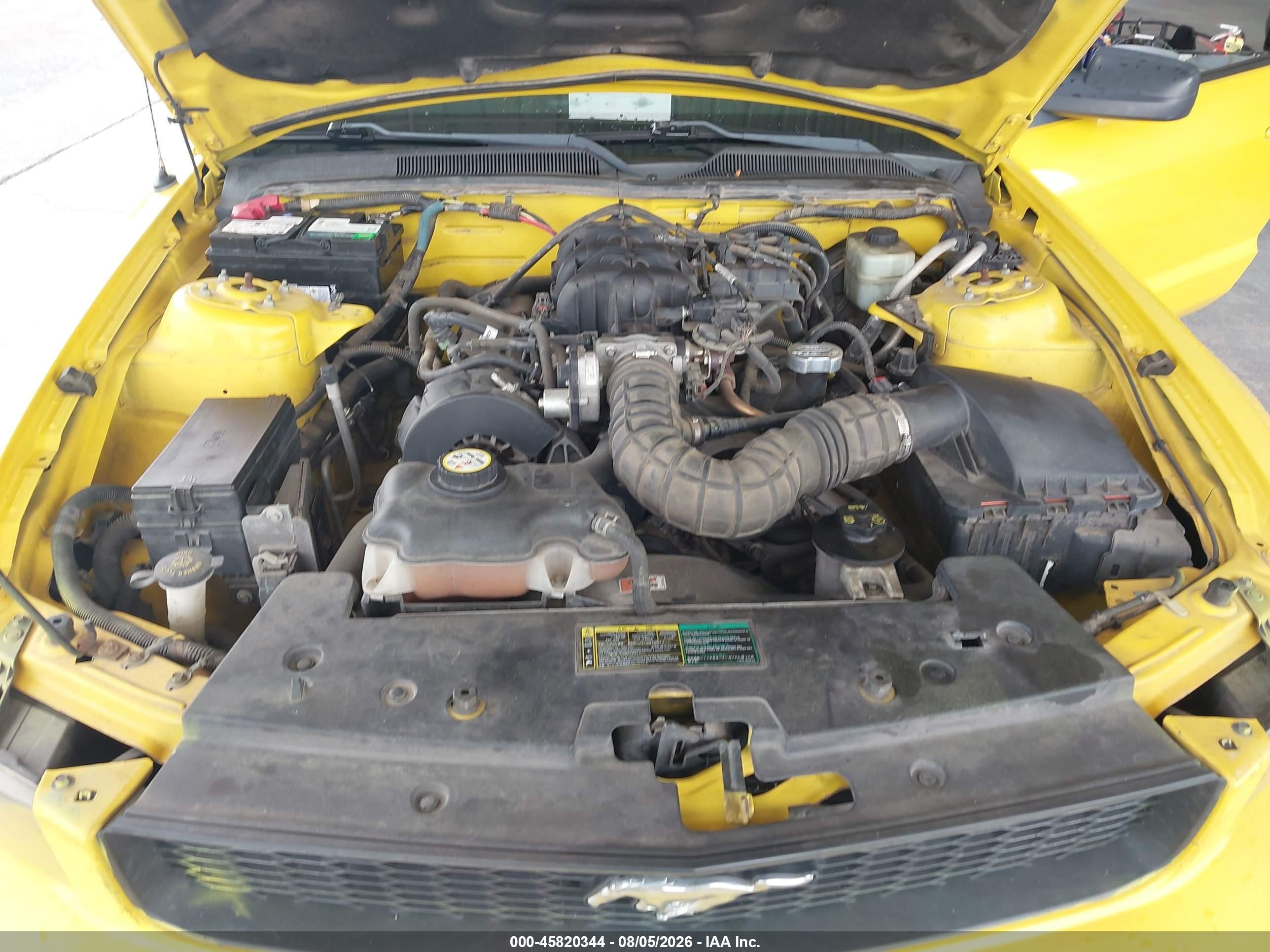 2005 Ford Mustang V6 Deluxe/v6 Premium Yellow vin: 1ZVFT80N755175249