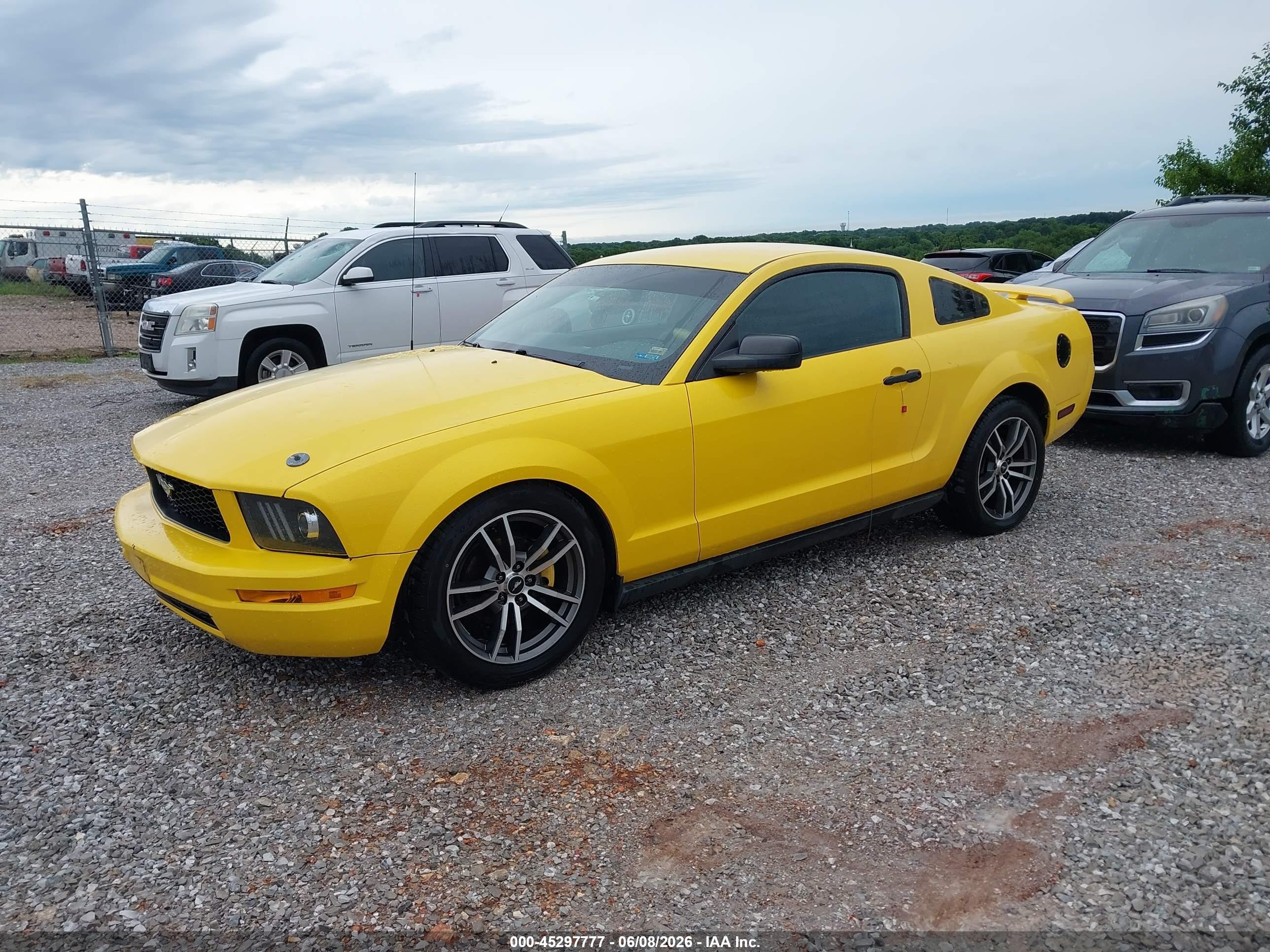 2005 Ford Mustang V6 Deluxe/v6 Premium Yellow vin: 1ZVFT80N755218696