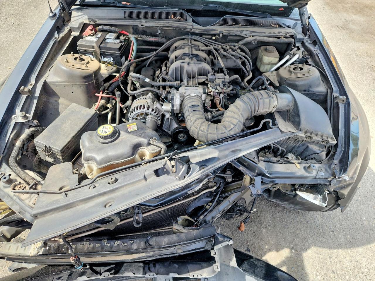 2006 Ford Mustang Черный vin: 1ZVFT80N765109494