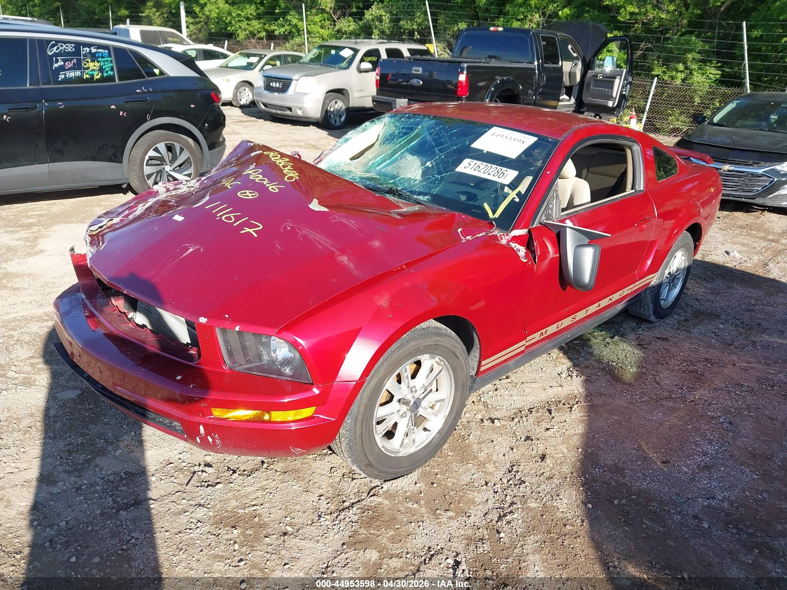2006 Ford Mustang V6 Red vin: 1ZVFT80N765111617