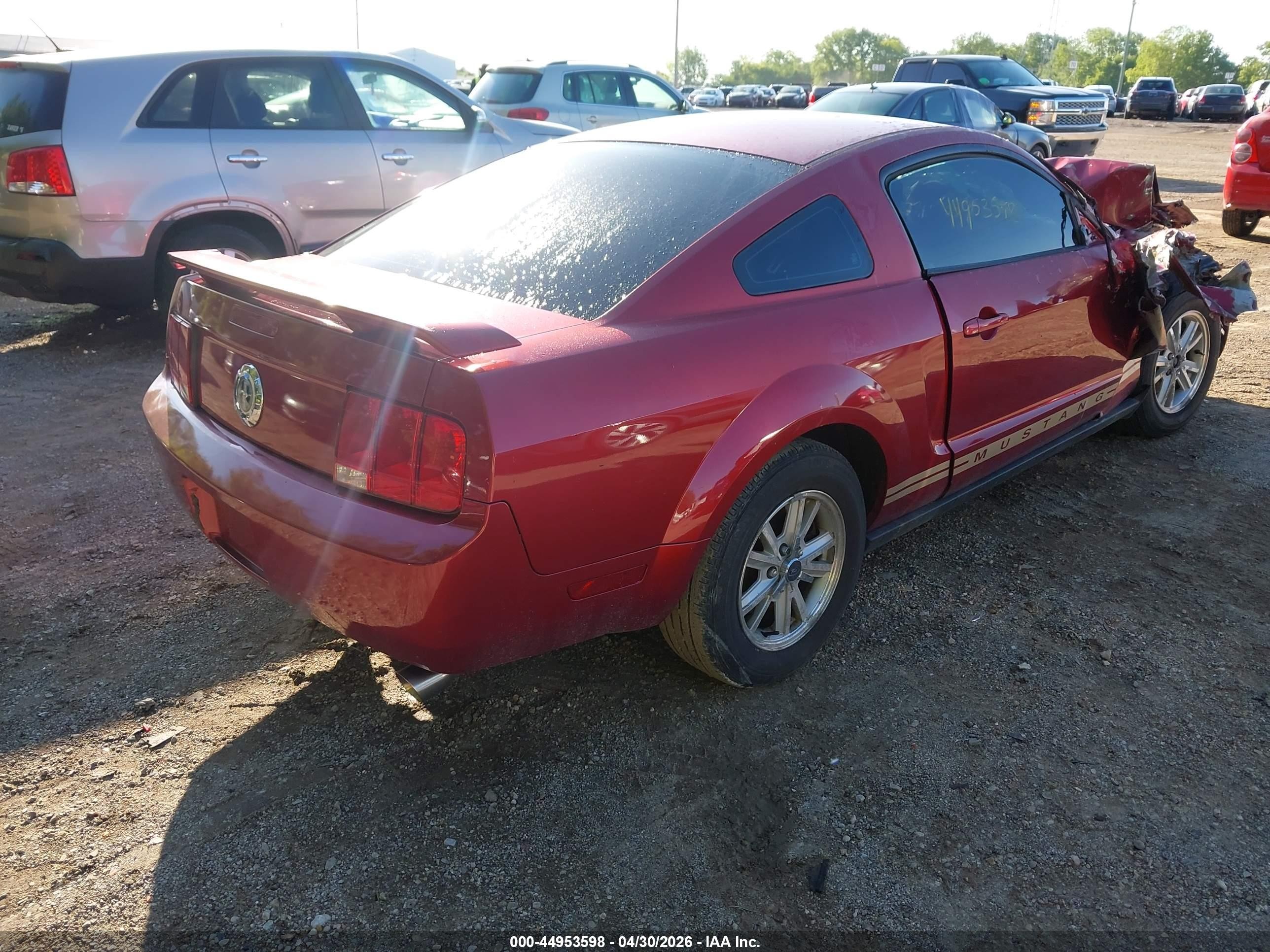 2006 Ford Mustang V6 Red vin: 1ZVFT80N765111617