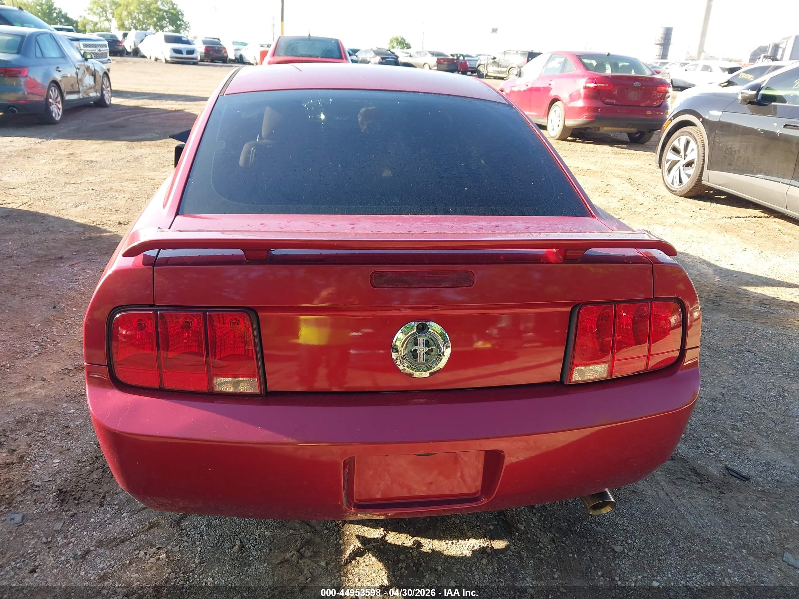 2006 Ford Mustang V6 Red vin: 1ZVFT80N765111617