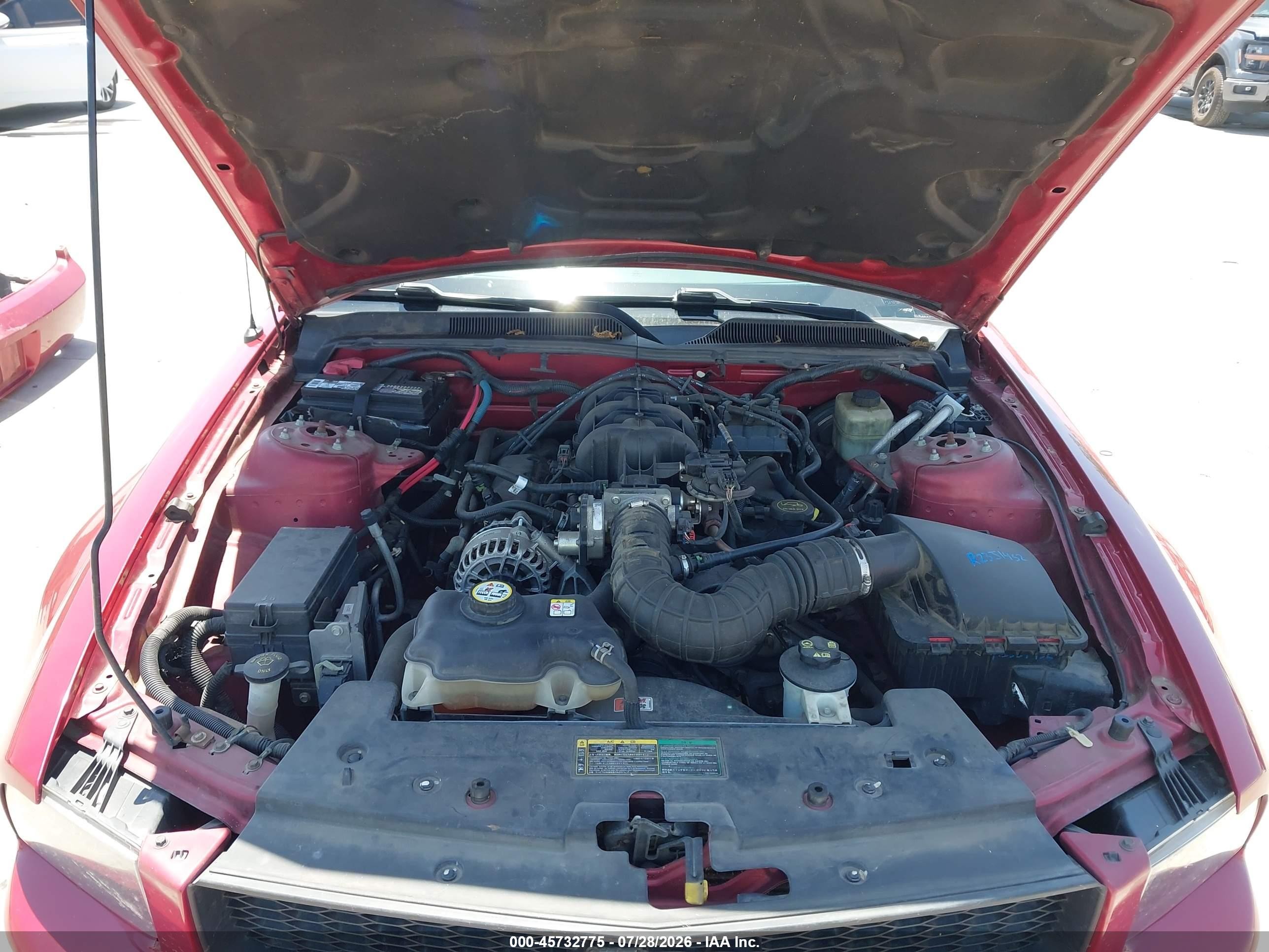 2006 Ford Mustang V6 Red vin: 1ZVFT80N765123735