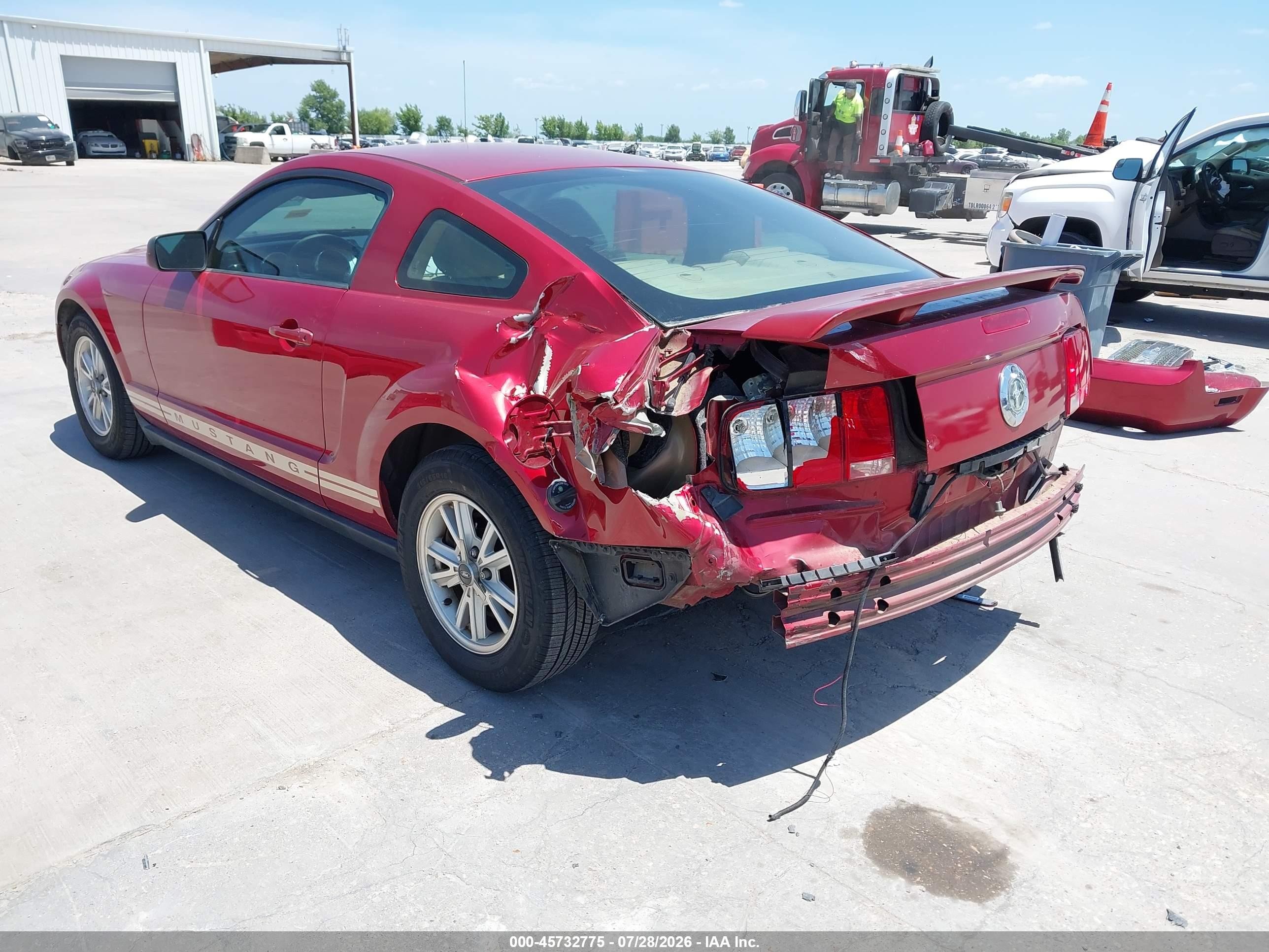 2006 Ford Mustang V6 Red vin: 1ZVFT80N765123735