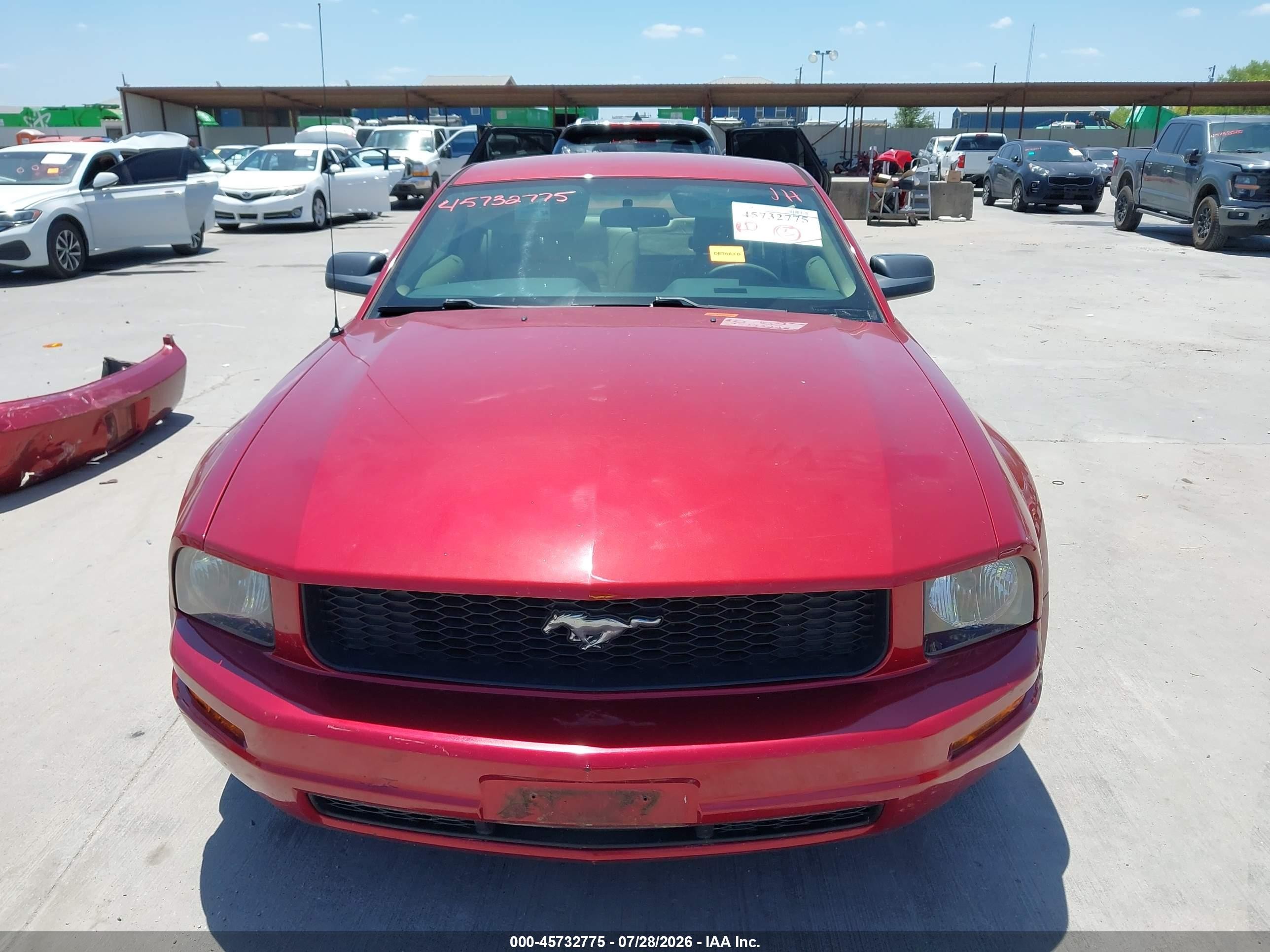 2006 Ford Mustang V6 Red vin: 1ZVFT80N765123735