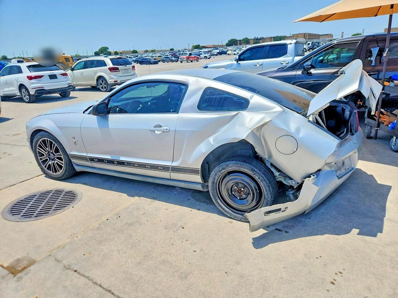 2006 Ford Mustang Silver vin: 1ZVFT80N765136386
