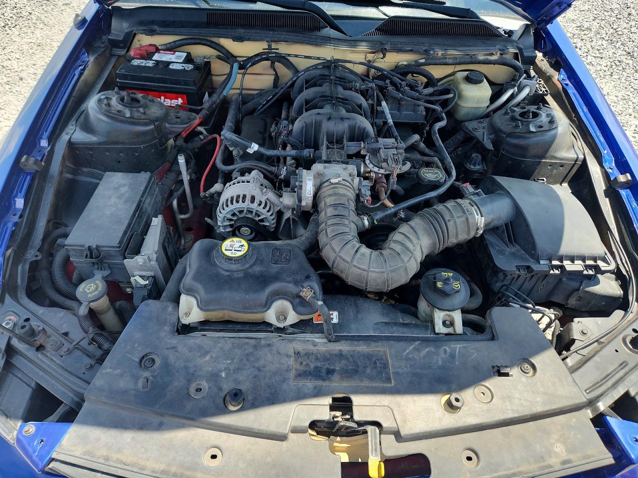 2006 Ford Mustang Blue vin: 1ZVFT80N765159778