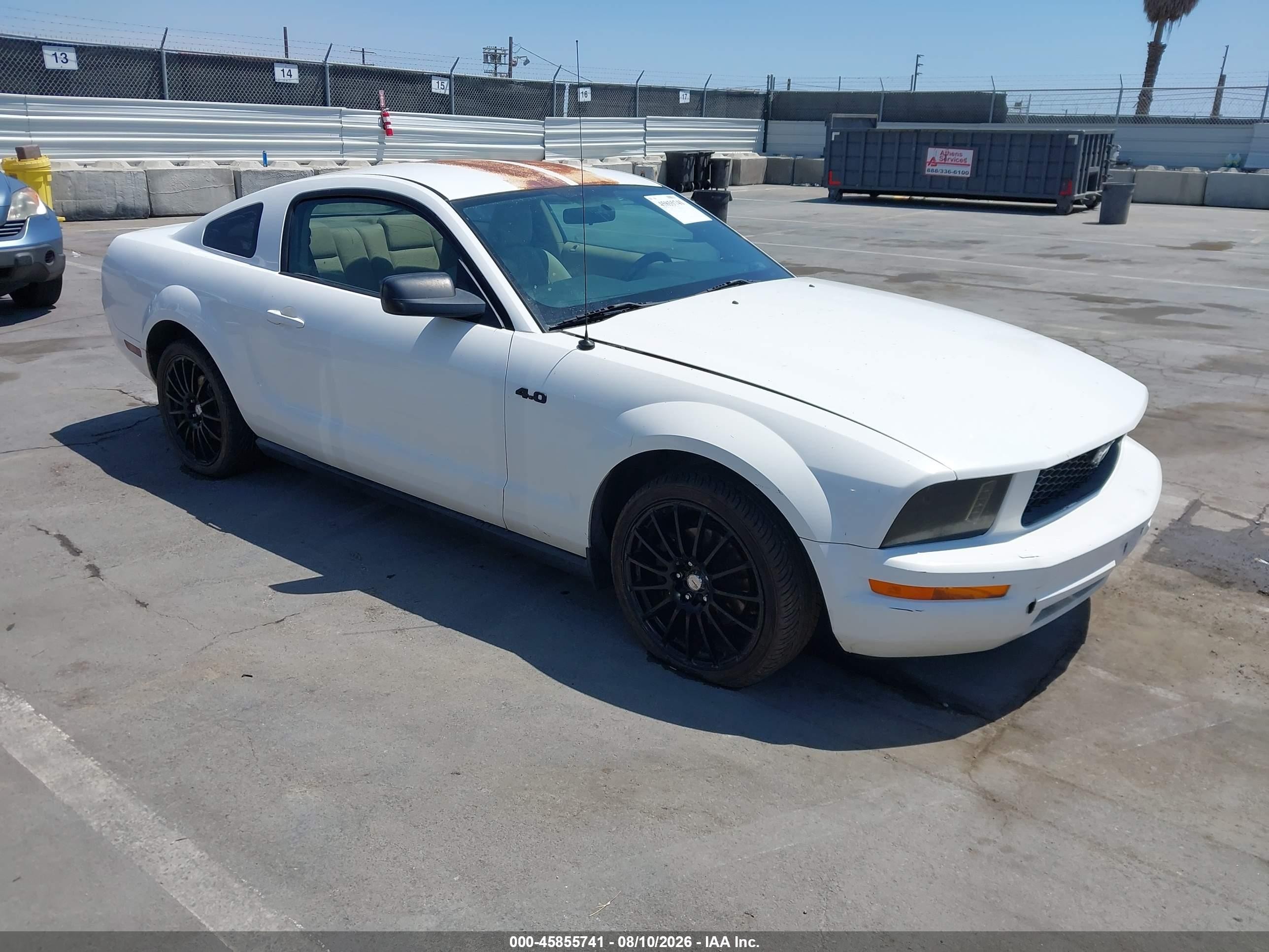 2006 Ford Mustang V6 White vin: 1ZVFT80N765174782