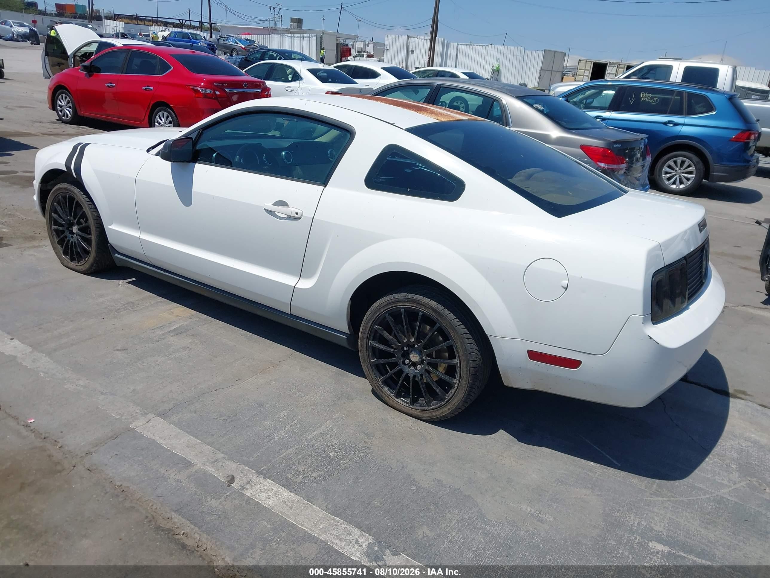 2006 Ford Mustang V6 White vin: 1ZVFT80N765174782
