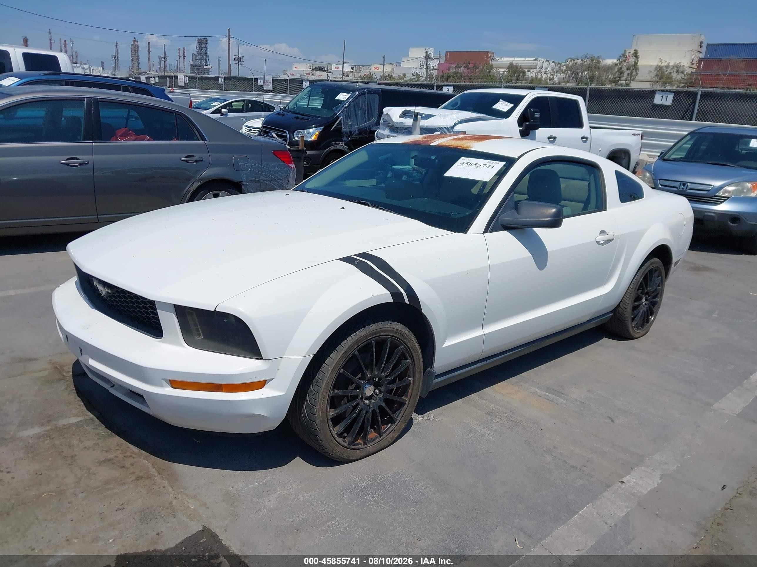 2006 Ford Mustang V6 White vin: 1ZVFT80N765174782
