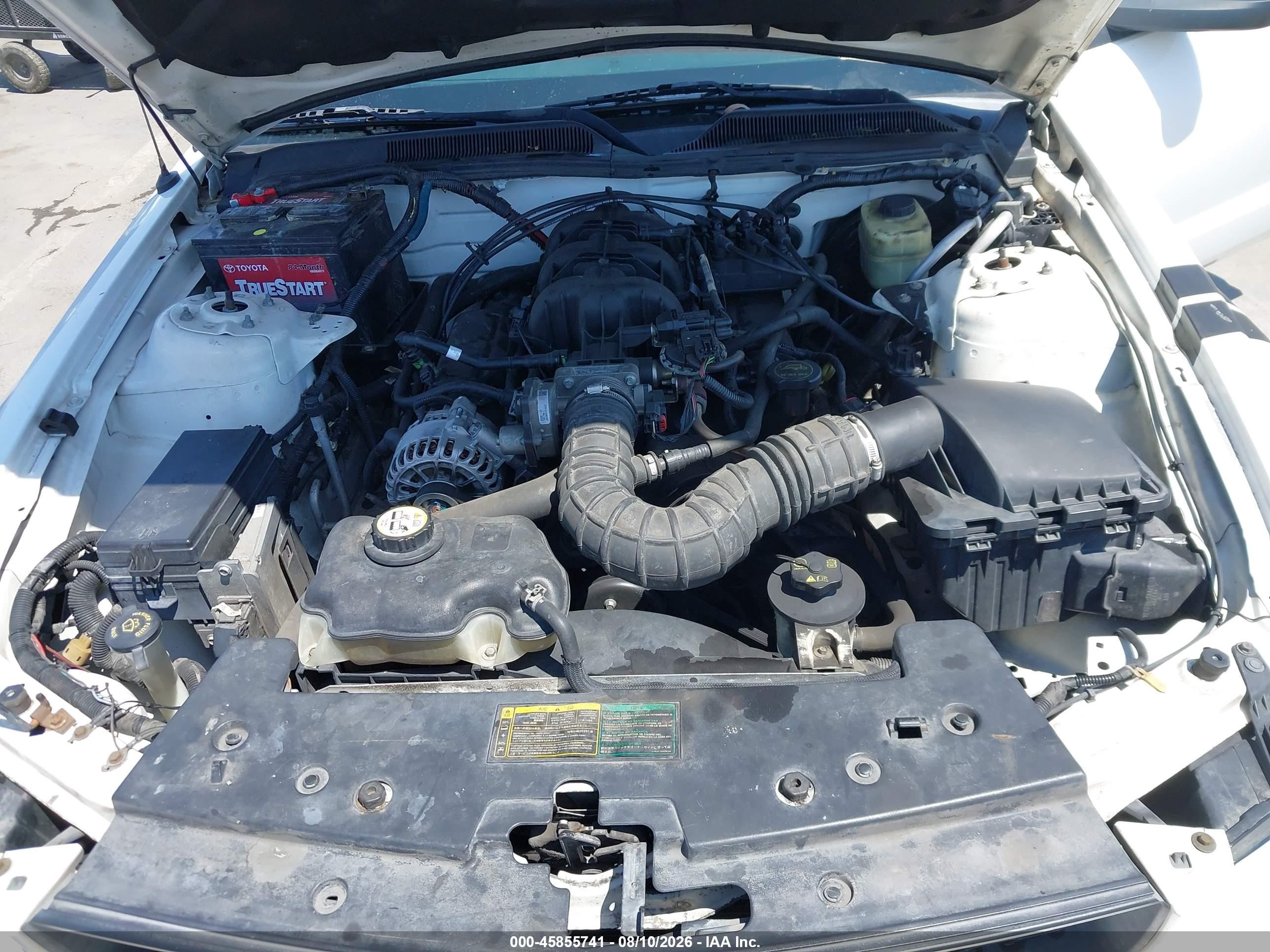 2006 Ford Mustang V6 White vin: 1ZVFT80N765174782