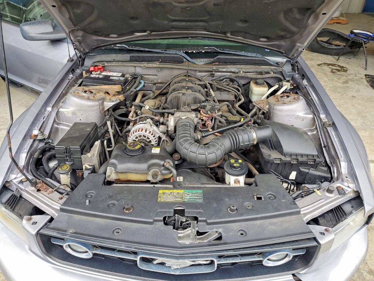 2006 Ford Mustang Silver vin: 1ZVFT80N765175379