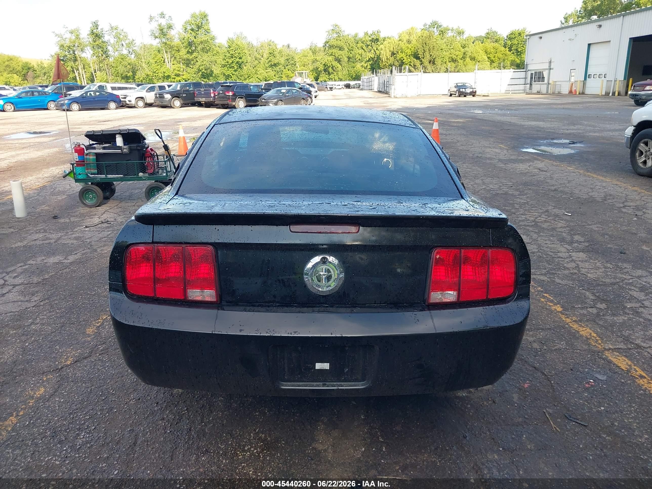 2007 Ford Mustang V6 Deluxe/v6 Premium Black vin: 1ZVFT80N775208267