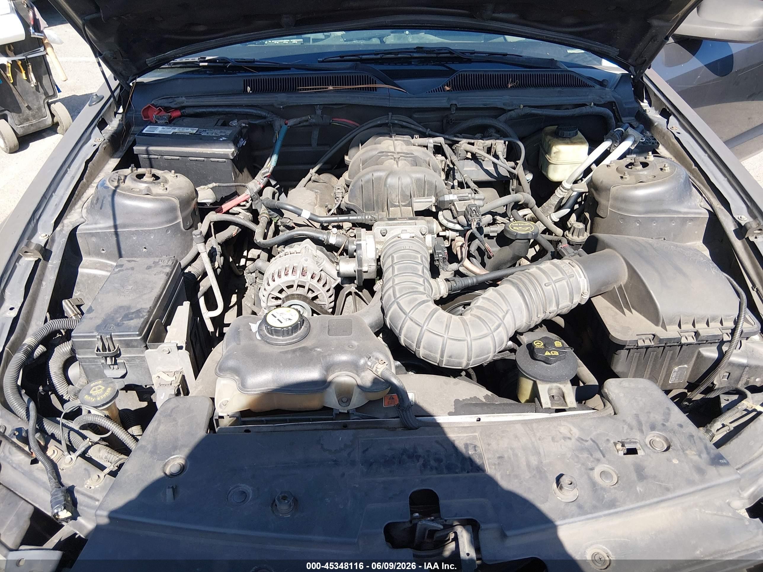 2007 Ford Mustang V6 Deluxe/v6 Premium Gray vin: 1ZVFT80N775270445