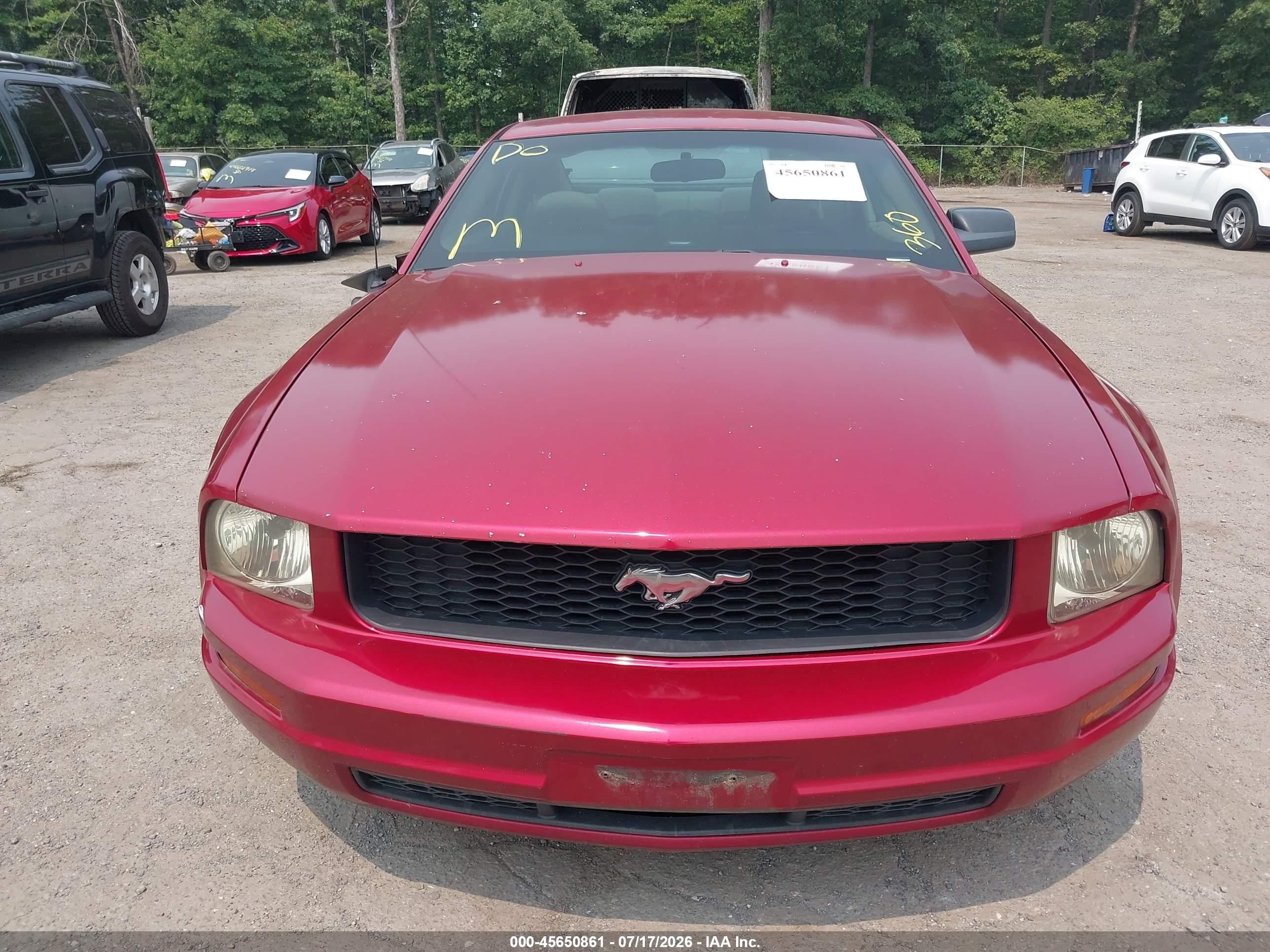 2007 Ford Mustang V6 Deluxe/v6 Premium Red vin: 1ZVFT80N775337142