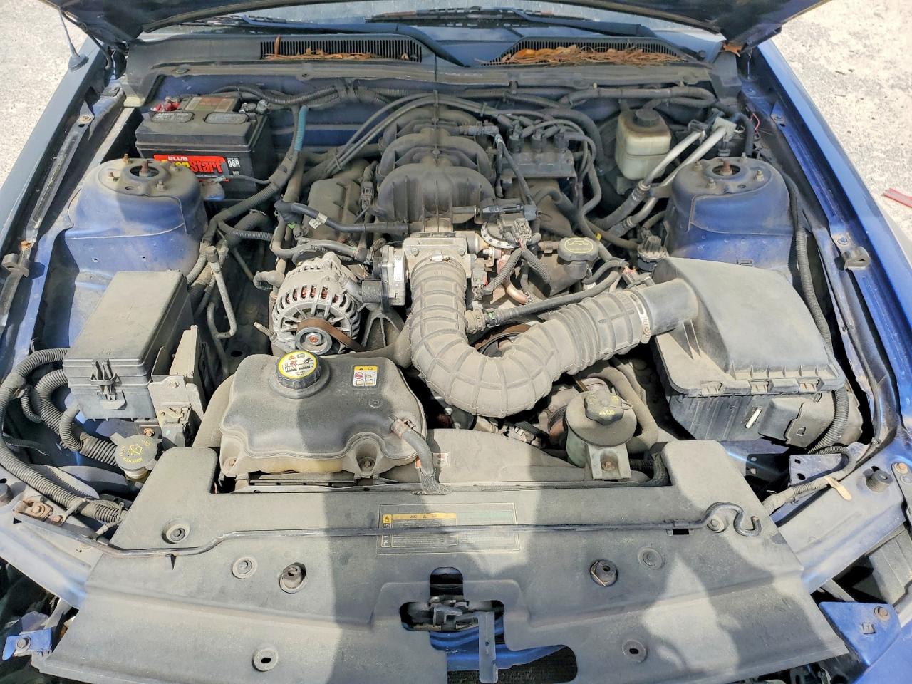 2007 Ford Mustang Blue vin: 1ZVFT80N775337660