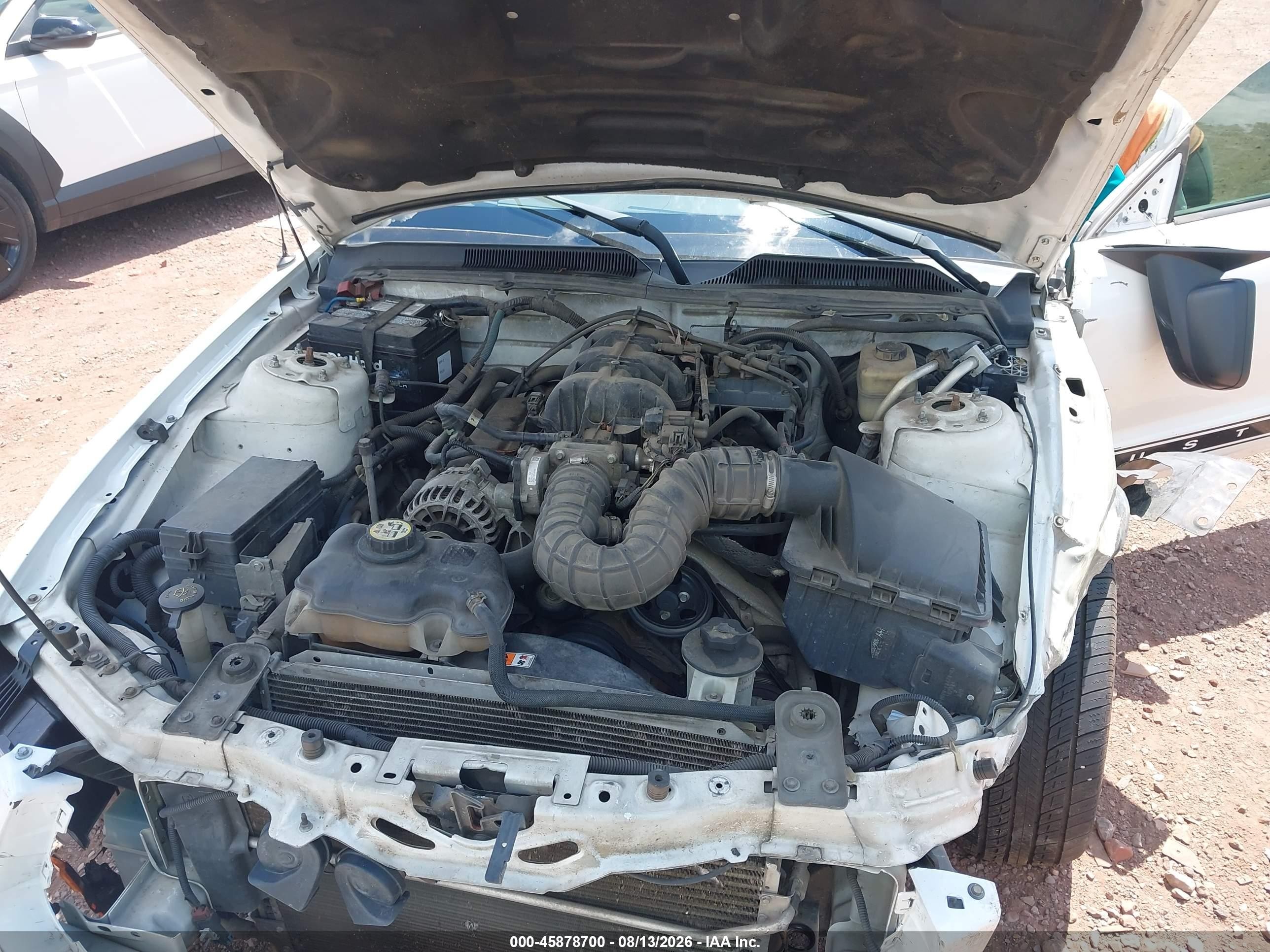 2007 Ford Mustang V6 Deluxe/v6 Premium Белый vin: 1ZVFT80N775357312