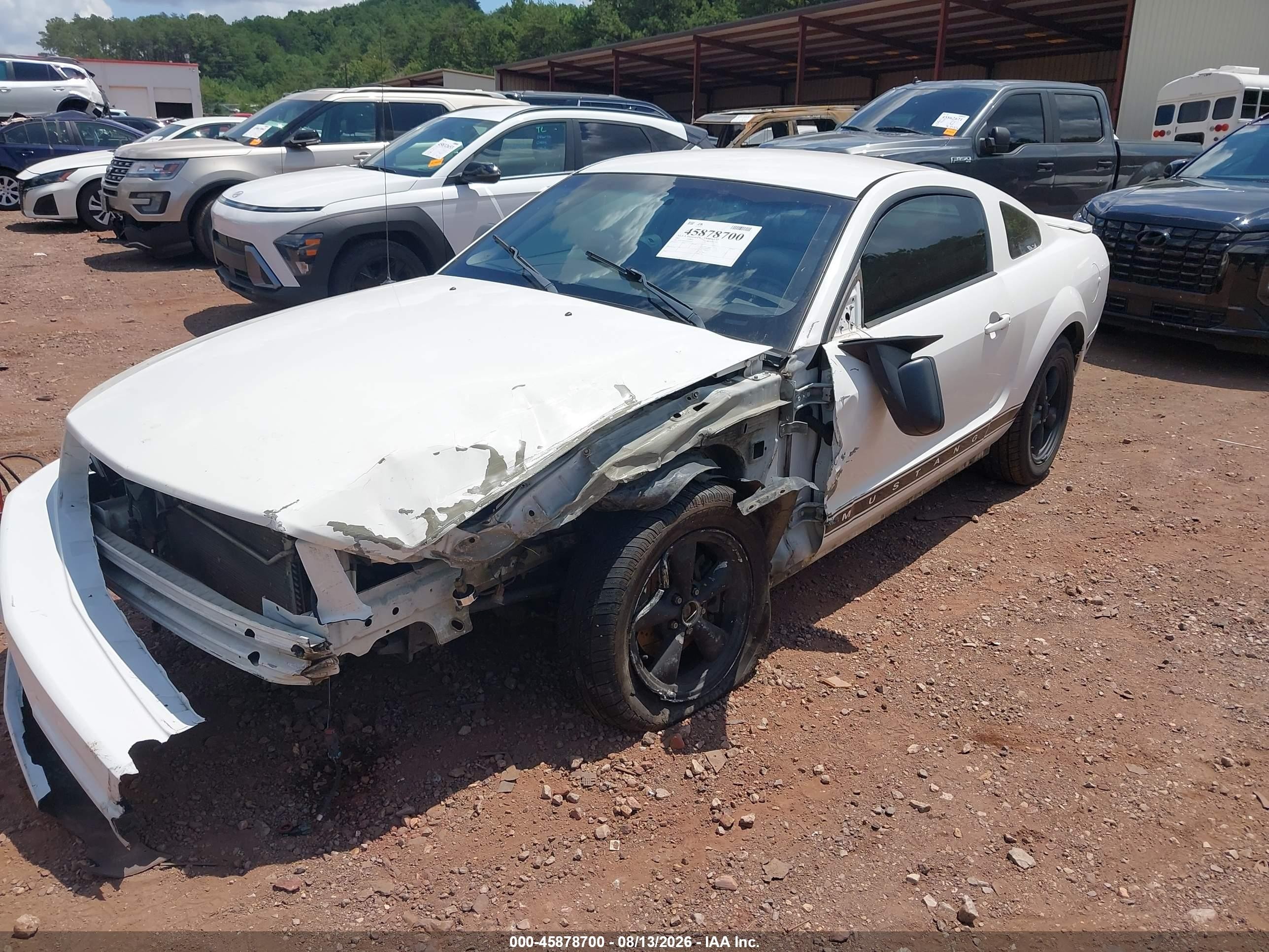 2007 Ford Mustang V6 Deluxe/v6 Premium Белый vin: 1ZVFT80N775357312
