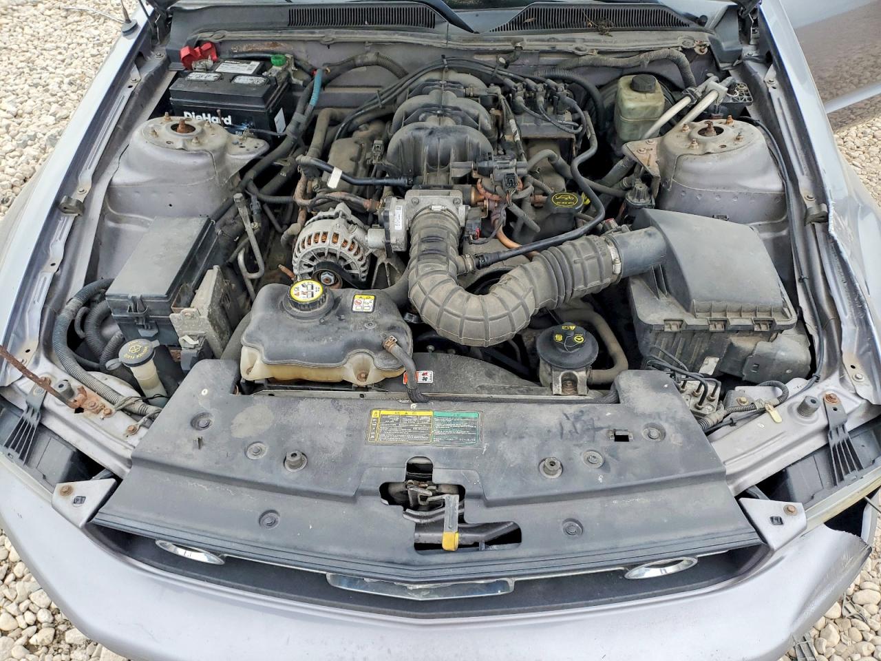 2006 Ford Mustang Серебряный vin: 1ZVFT80N865140057
