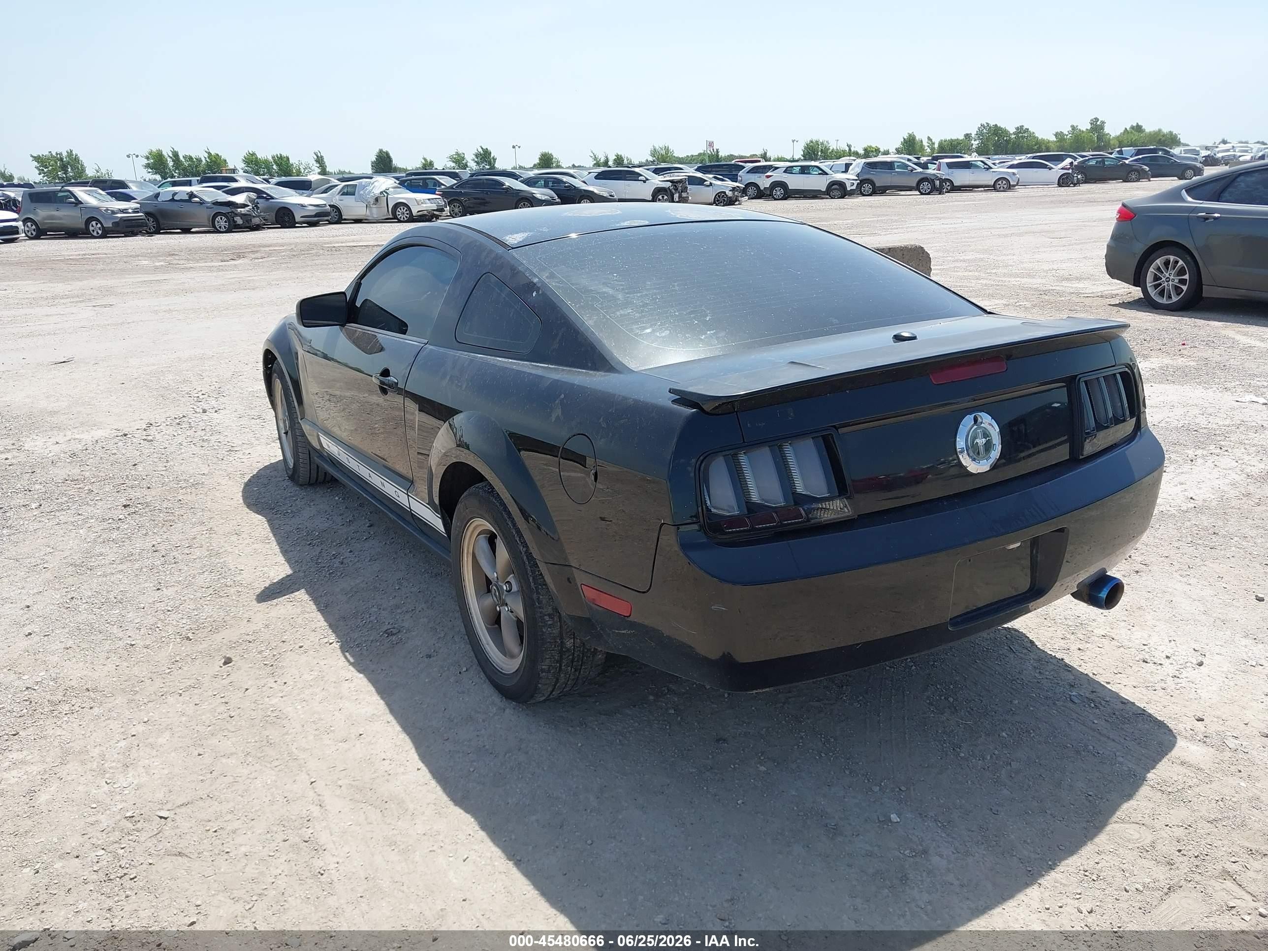 2007 Ford Mustang V6 Deluxe/v6 Premium Black vin: 1ZVFT80N875266811