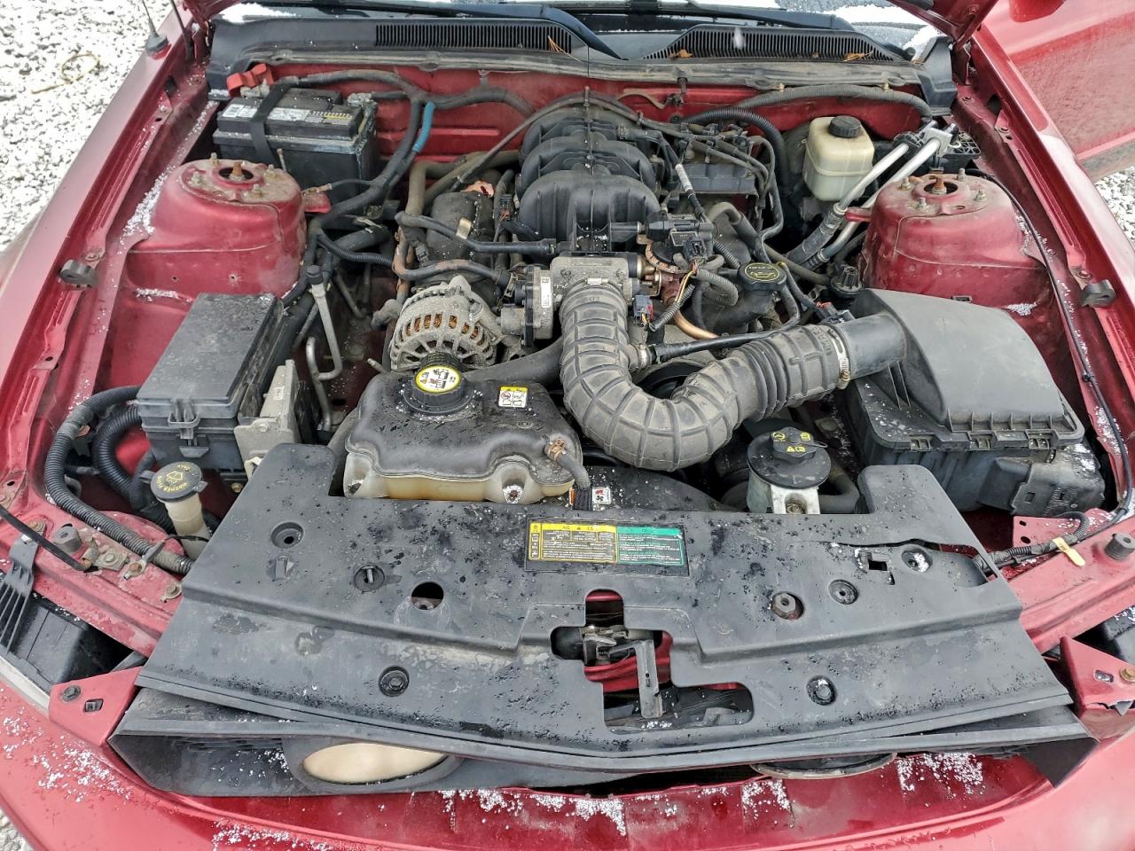 2007 Ford Mustang Красный vin: 1ZVFT80N875337537