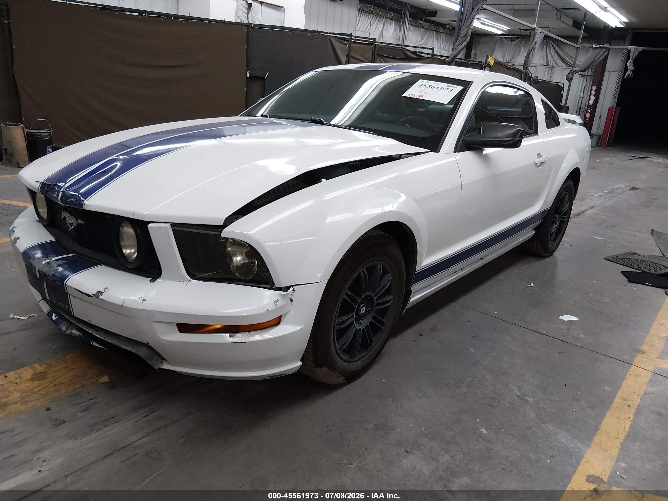 2005 Ford Mustang V6 Deluxe/v6 Premium White vin: 1ZVFT80N955109737