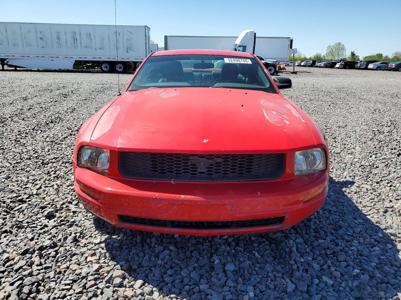 2005 Ford Mustang Red vin: 1ZVFT80N955128322
