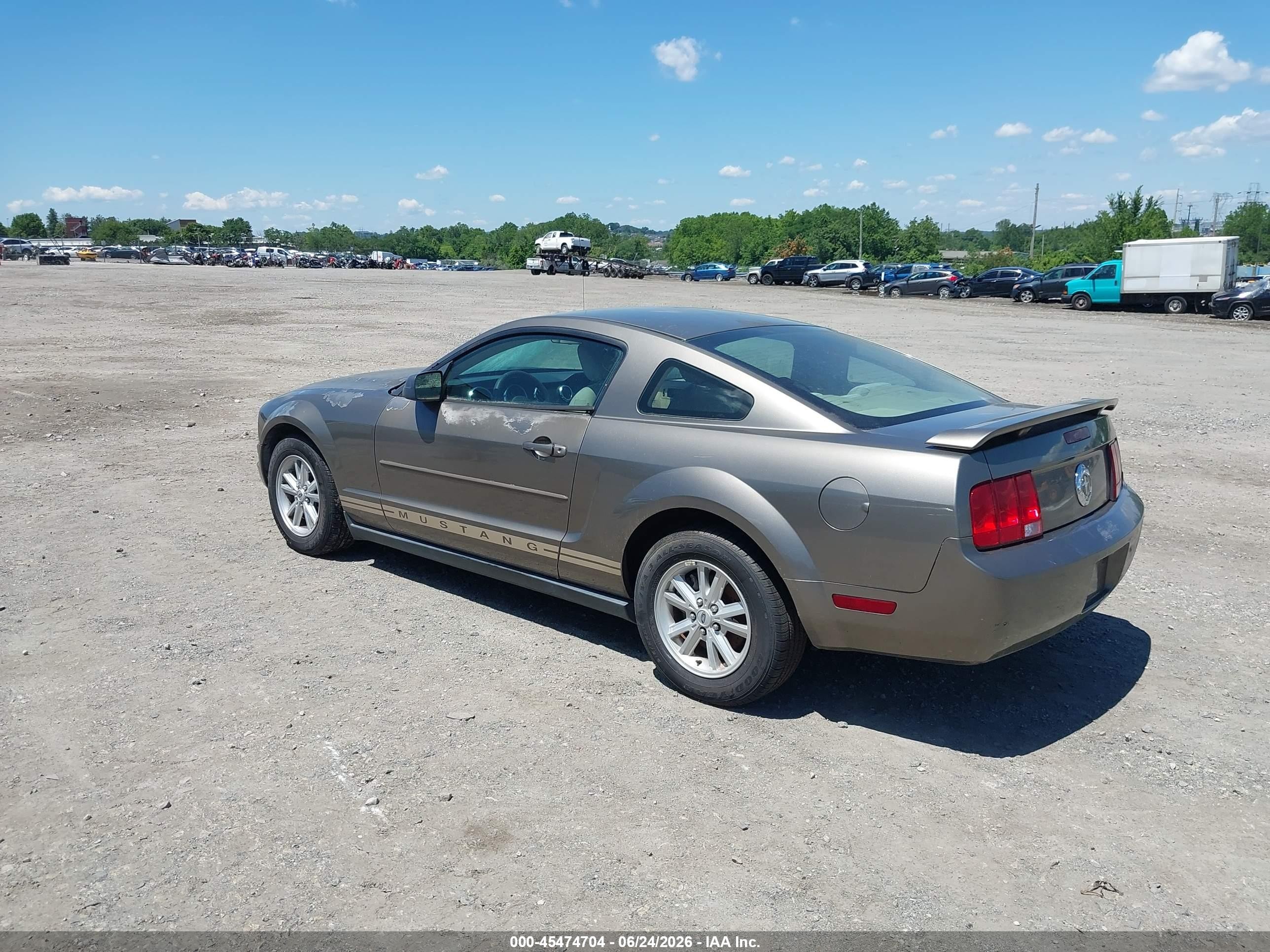 2005 Ford Mustang V6 Deluxe/v6 Premium Gray vin: 1ZVFT80N955178010
