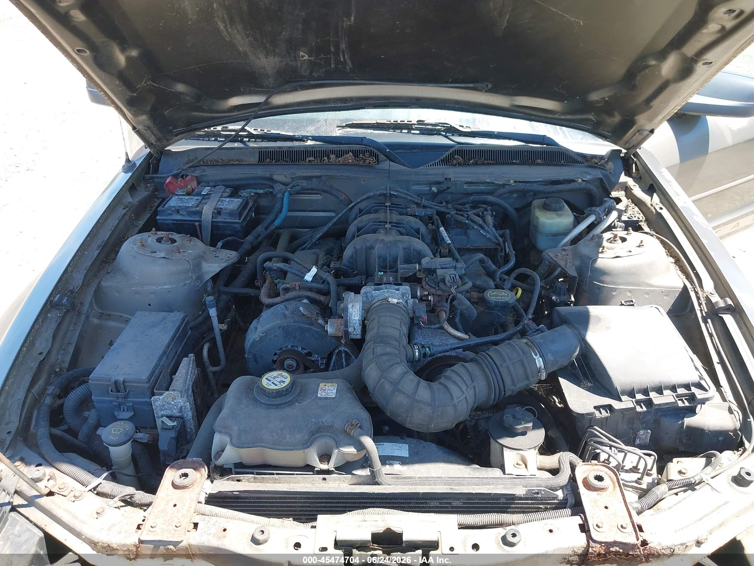 2005 Ford Mustang V6 Deluxe/v6 Premium Gray vin: 1ZVFT80N955178010