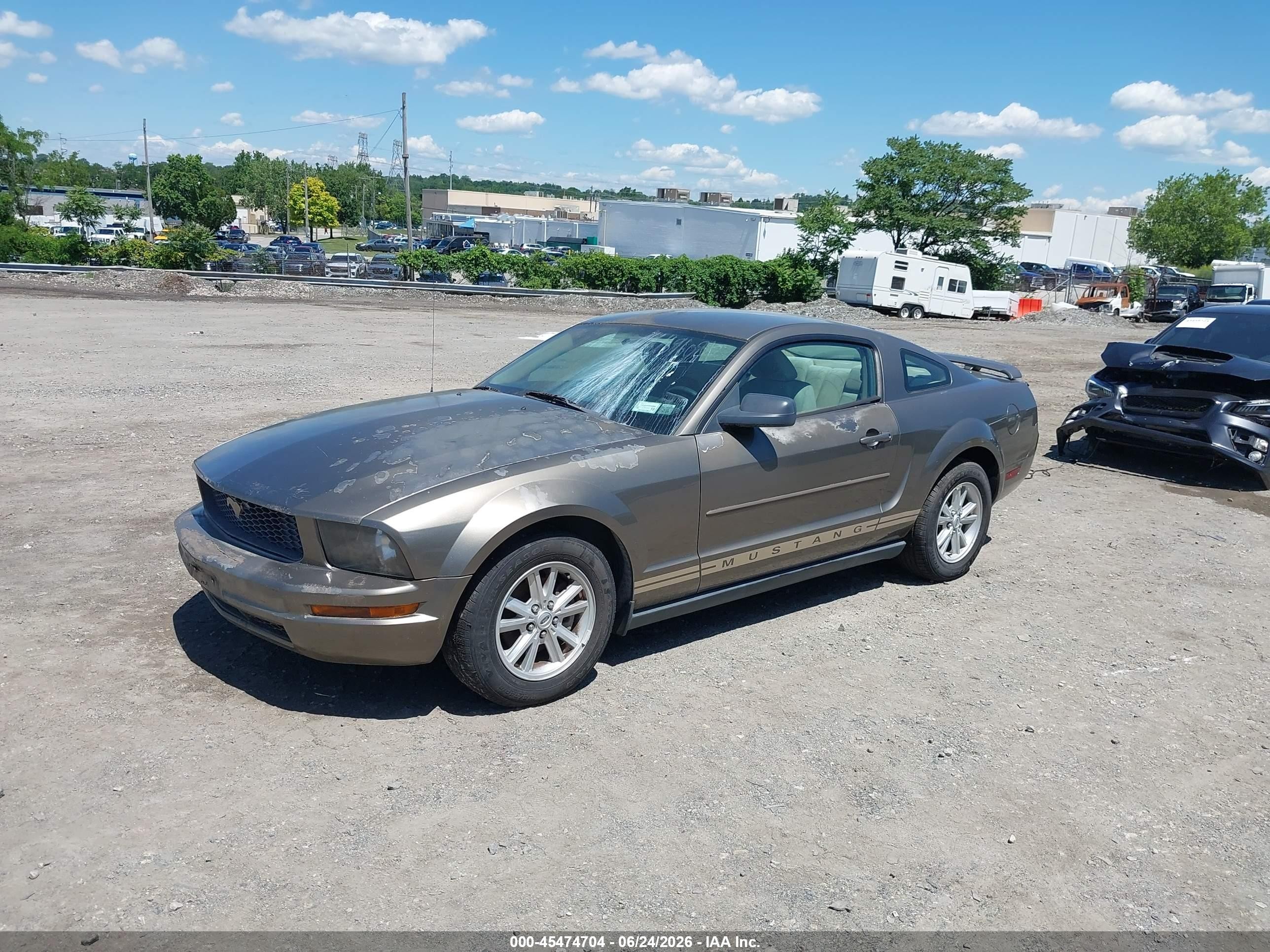 2005 Ford Mustang V6 Deluxe/v6 Premium Gray vin: 1ZVFT80N955178010