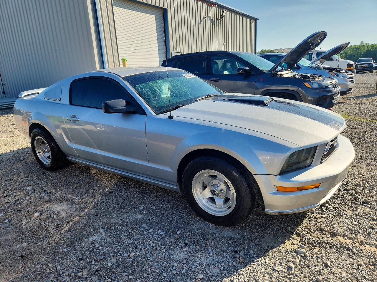 2005 Ford Mustang Silver vin: 1ZVFT80N955188682