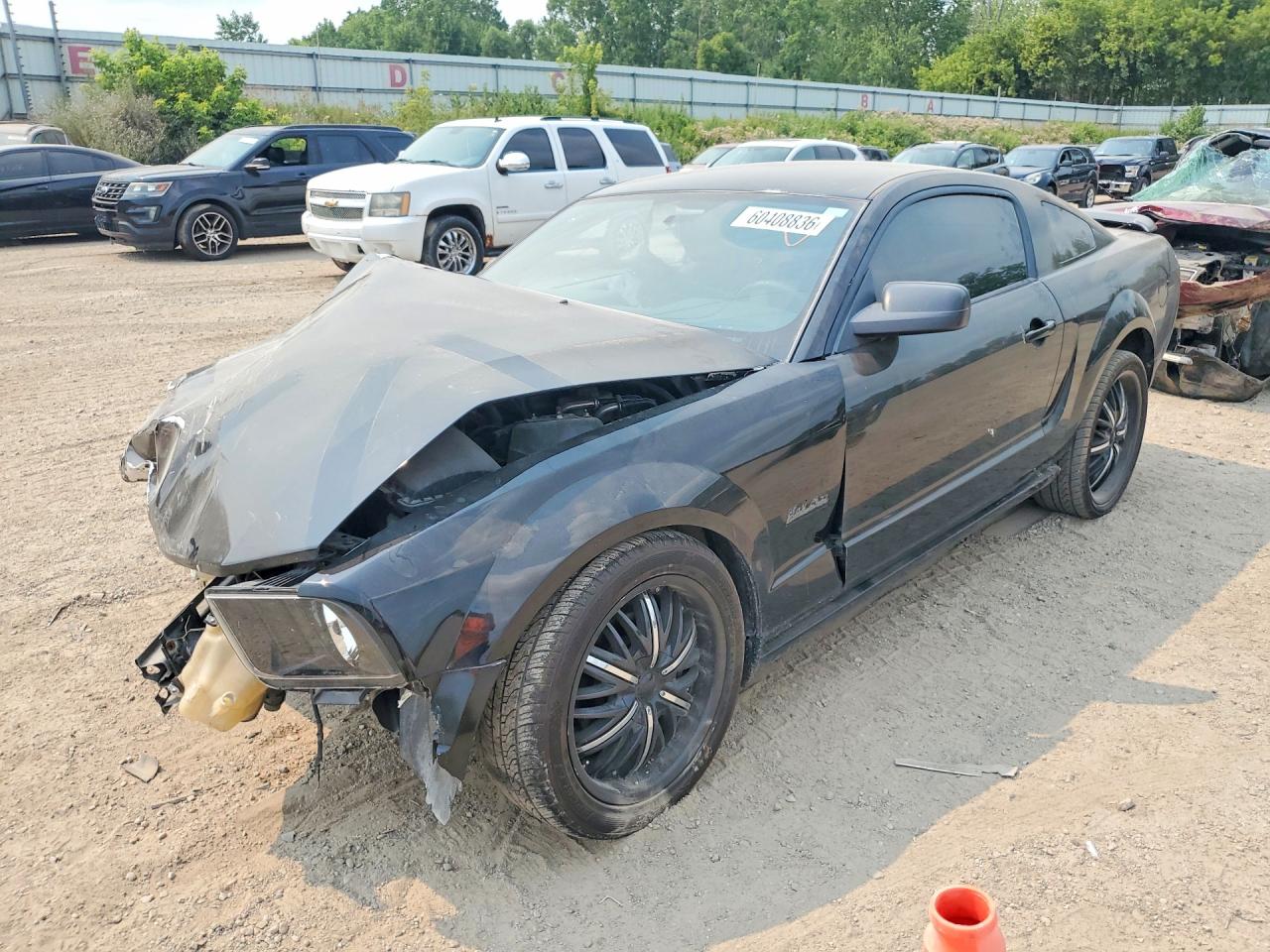 2005 Ford Mustang Черный vin: 1ZVFT80N955206954