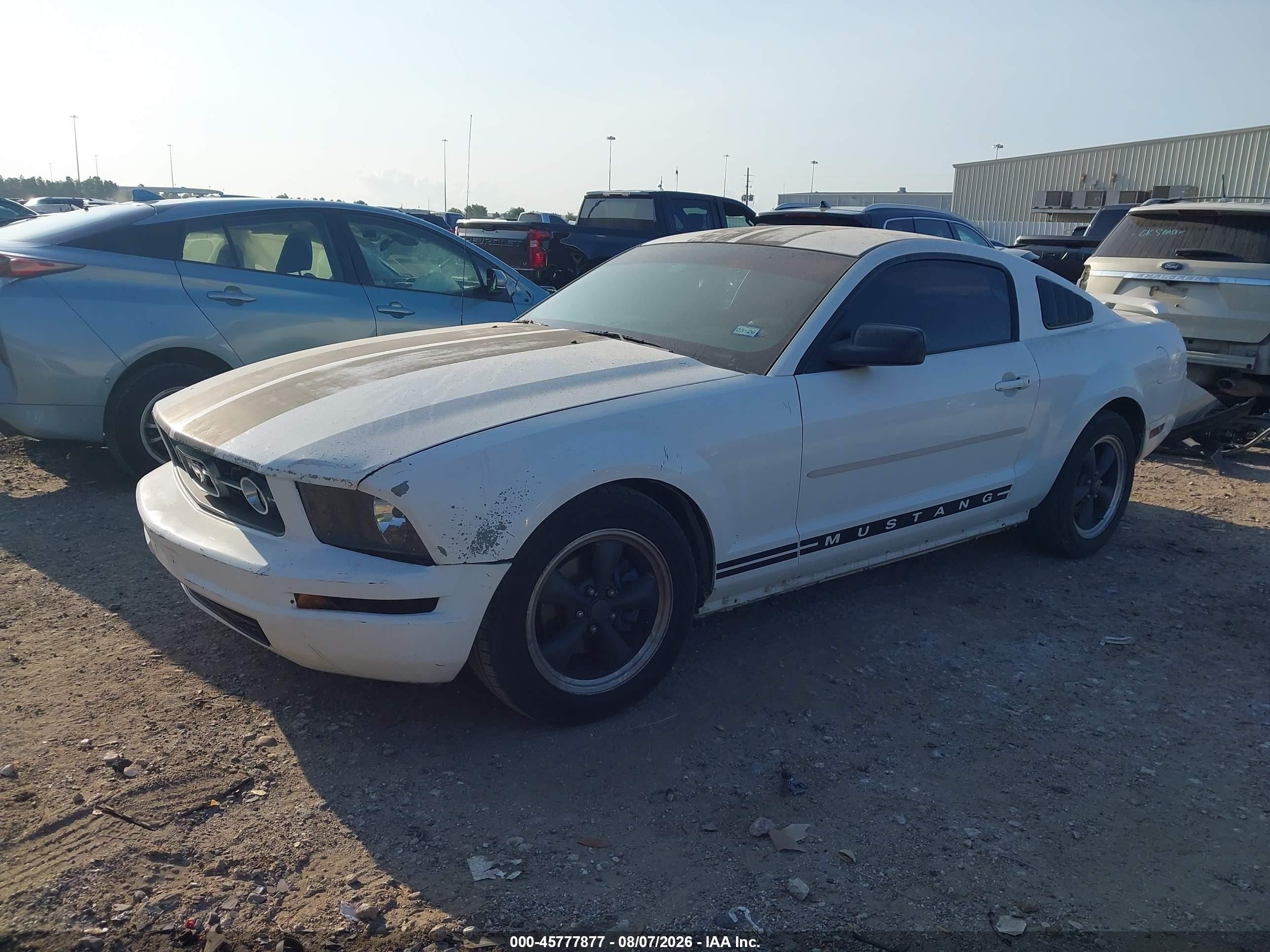 2005 Ford Mustang   White vin: 1ZVFT80N955237329