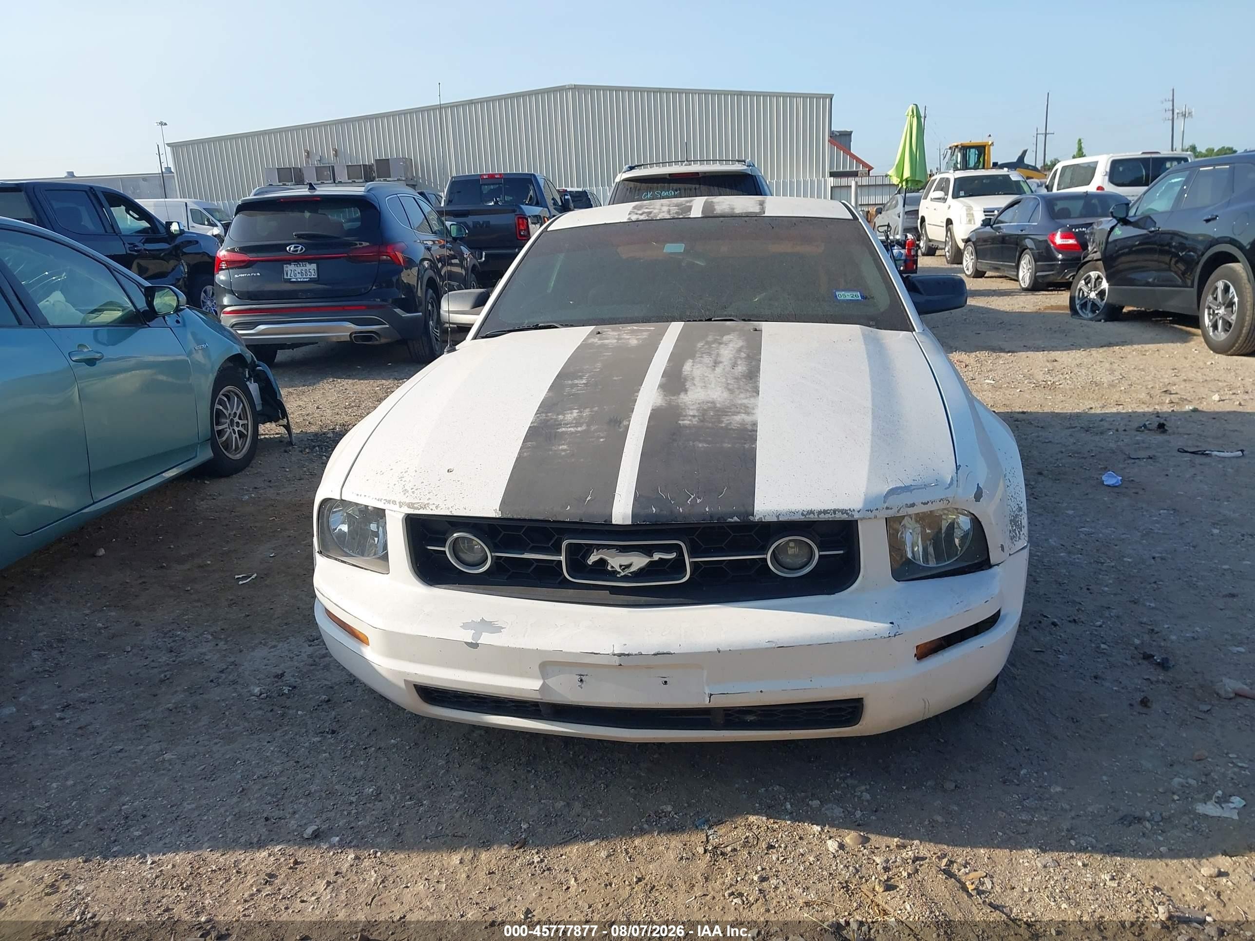 2005 Ford Mustang   White vin: 1ZVFT80N955237329