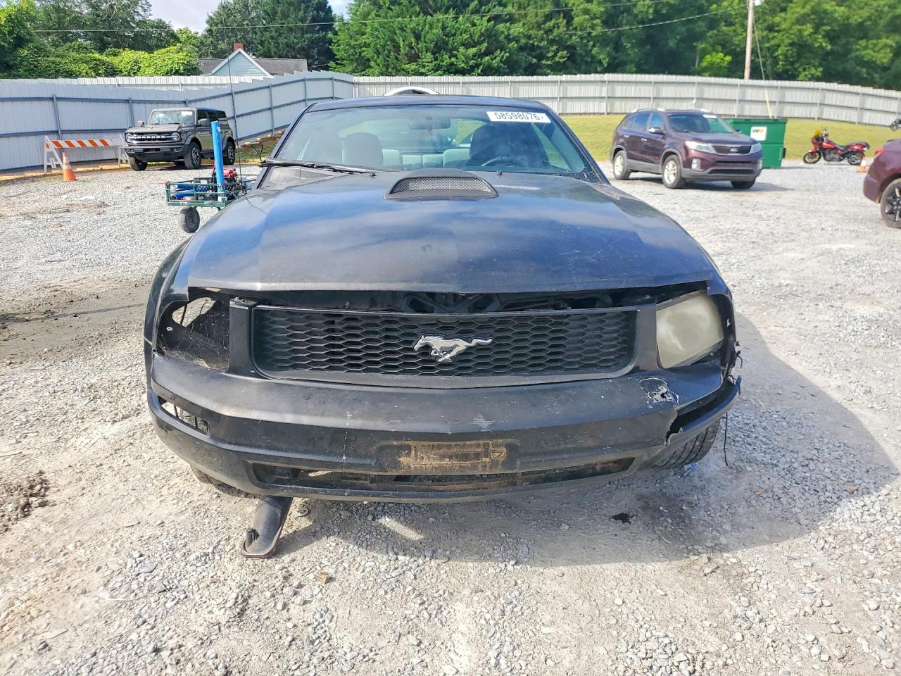2006 Ford Mustang Черный vin: 1ZVFT80N965101459