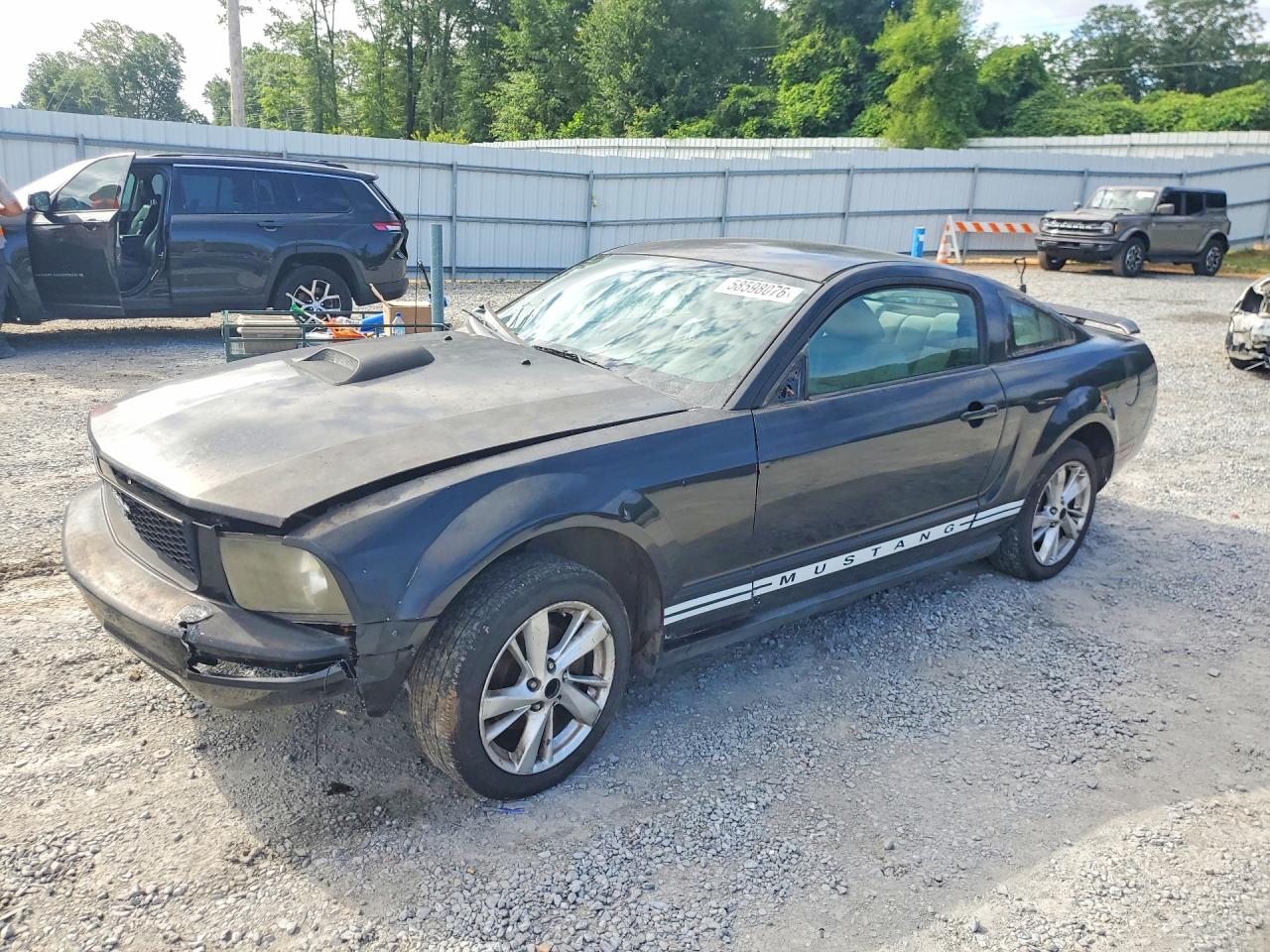 2006 Ford Mustang Black vin: 1ZVFT80N965101459