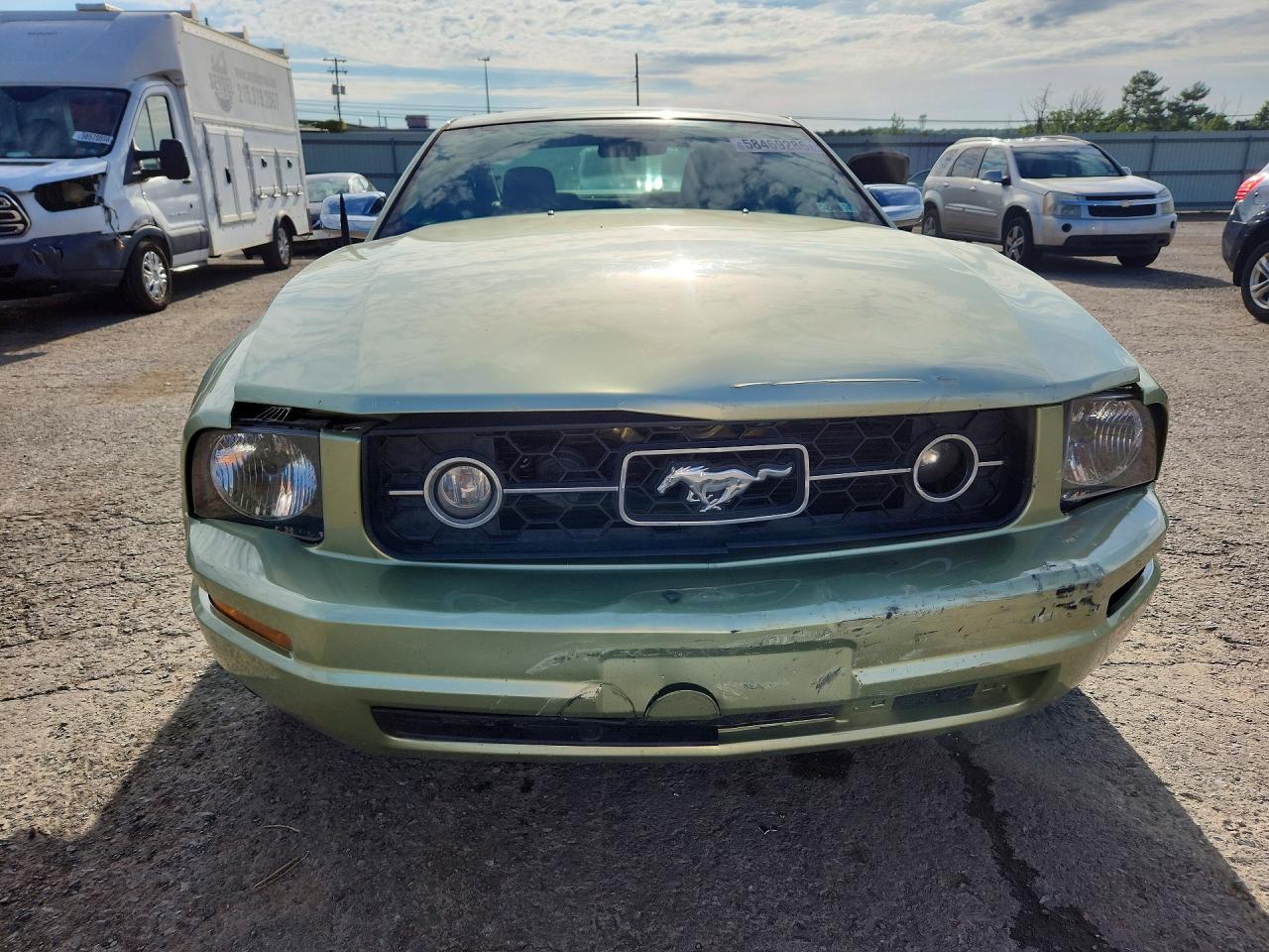2006 Ford Mustang Green vin: 1ZVFT80N965102384
