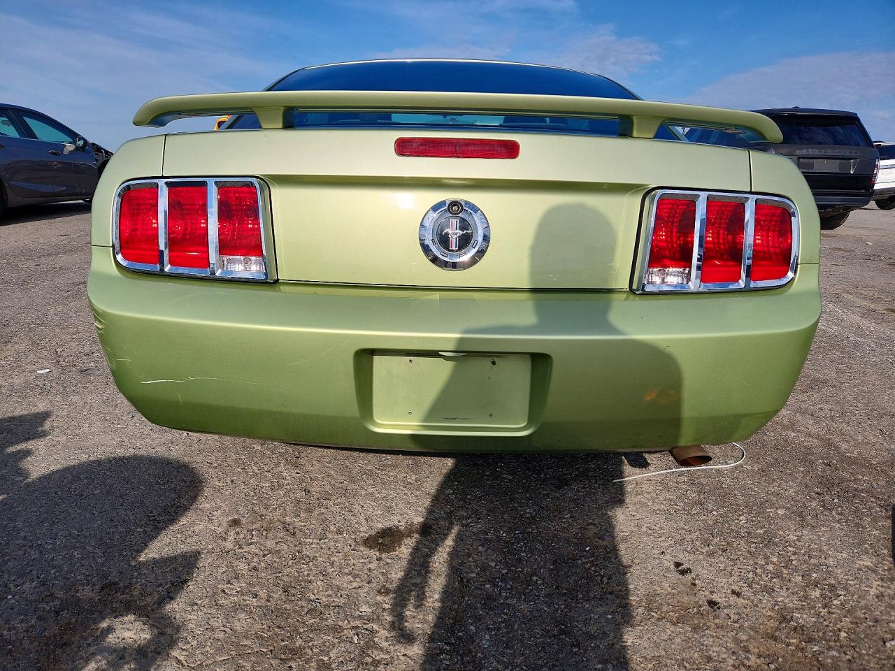 2006 Ford Mustang Green vin: 1ZVFT80N965102384