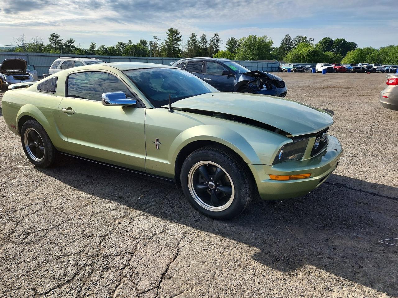 2006 Ford Mustang Green vin: 1ZVFT80N965102384