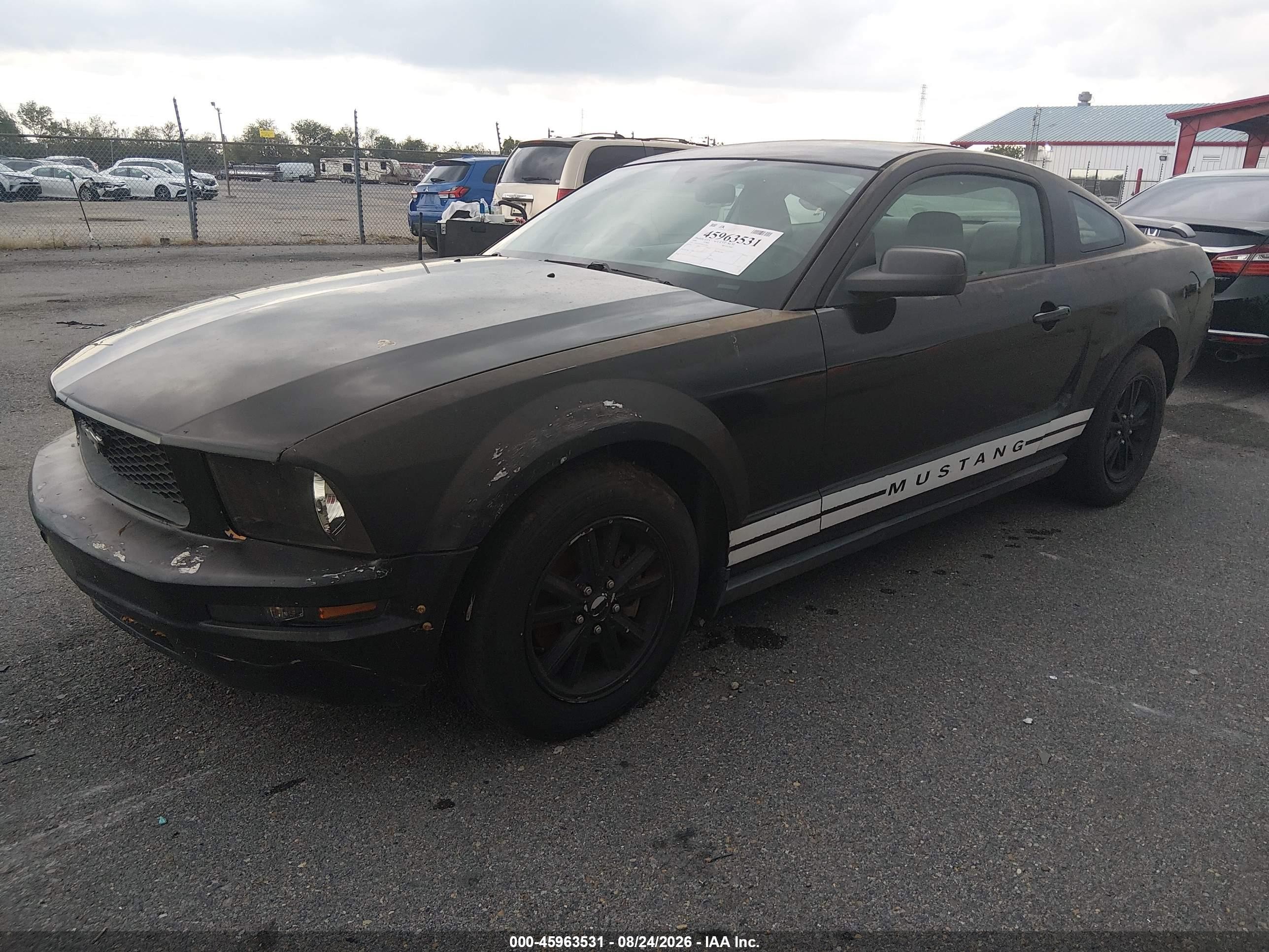 2006 Ford Mustang V6 Black vin: 1ZVFT80N965115071