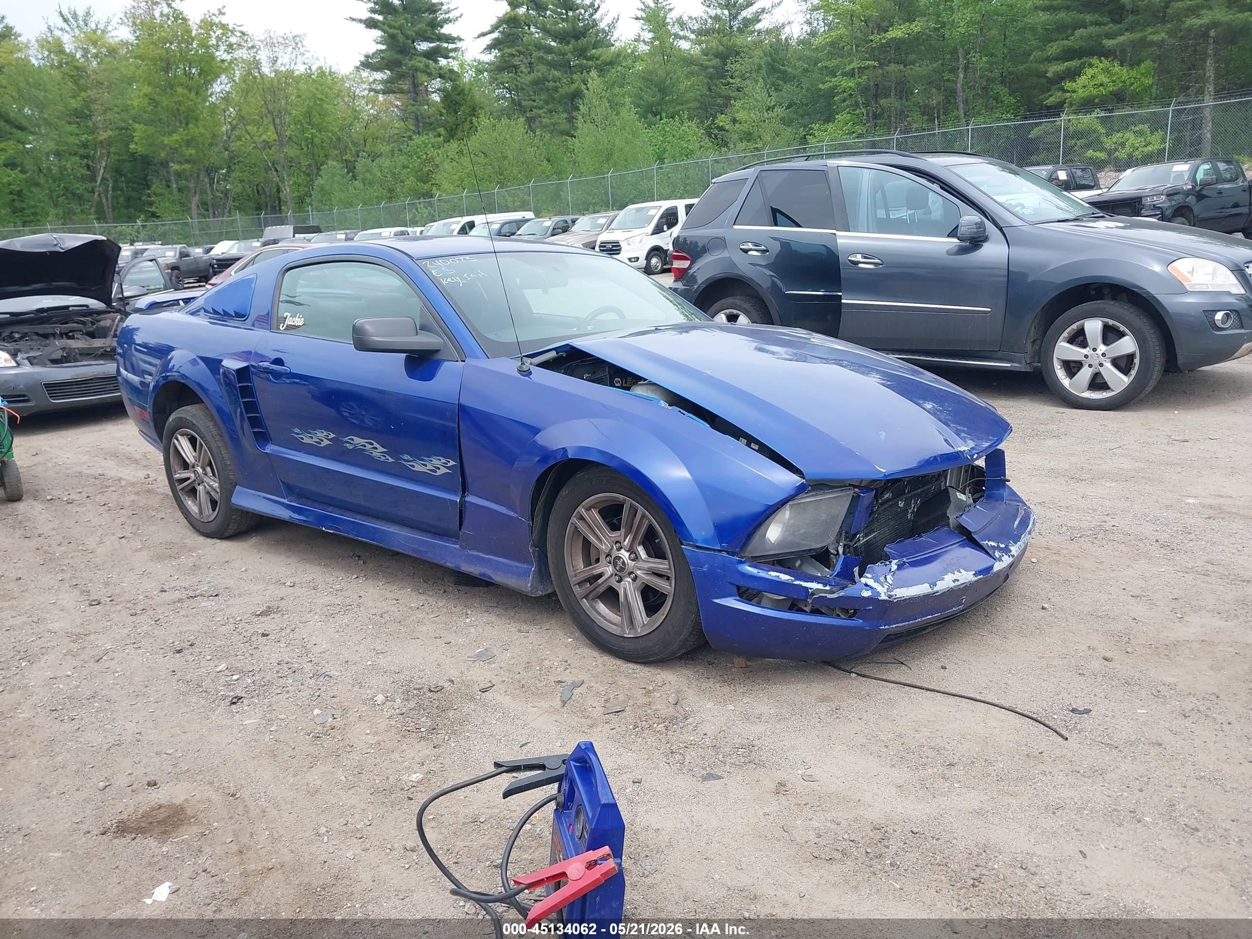 2006 Ford Mustang V6 Blue vin: 1ZVFT80N965130329