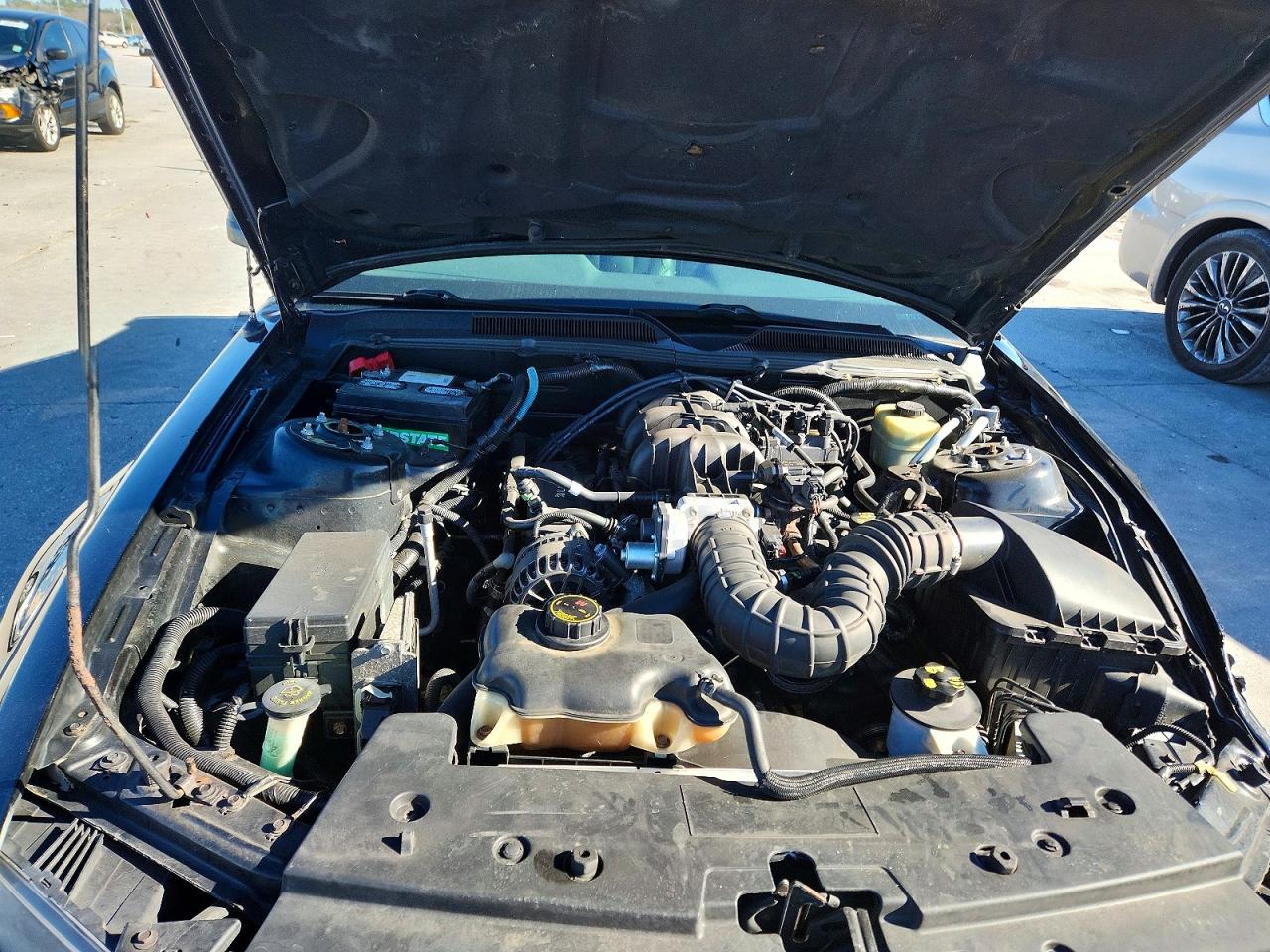 2006 Ford Mustang Black vin: 1ZVFT80N965157675