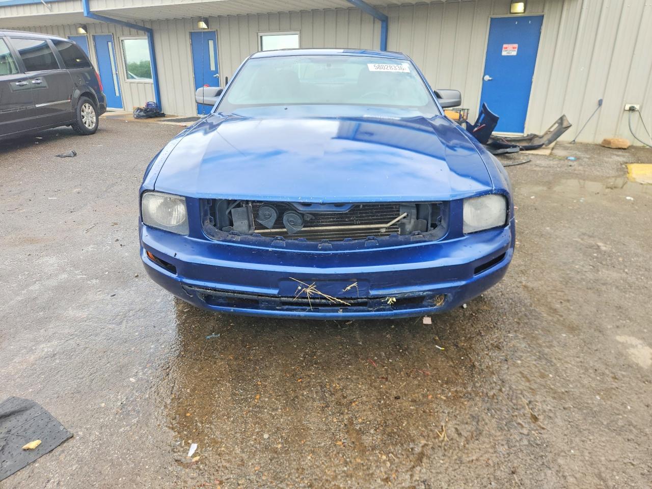 2006 Ford Mustang Blue vin: 1ZVFT80N965210309