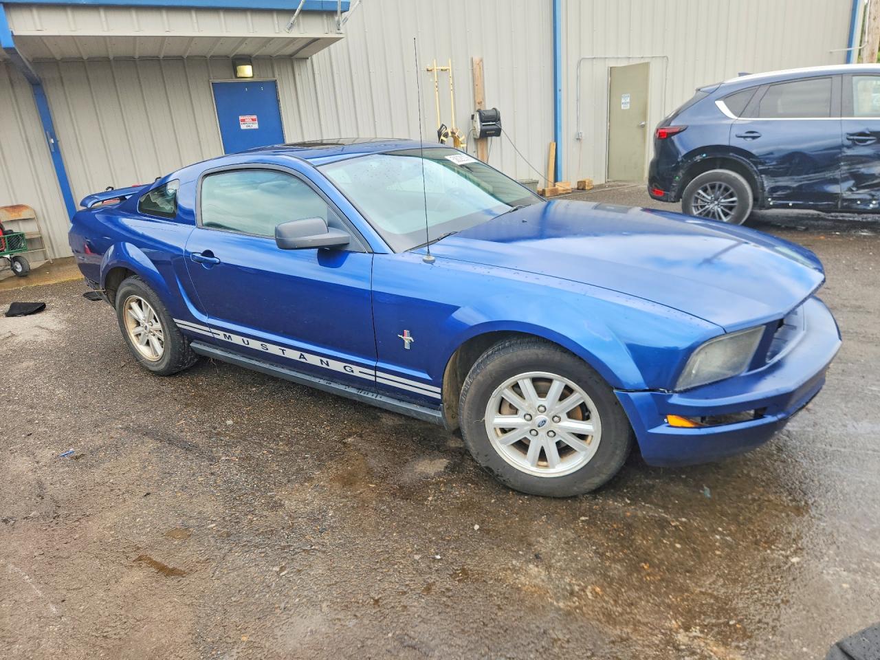 2006 Ford Mustang Blue vin: 1ZVFT80N965210309