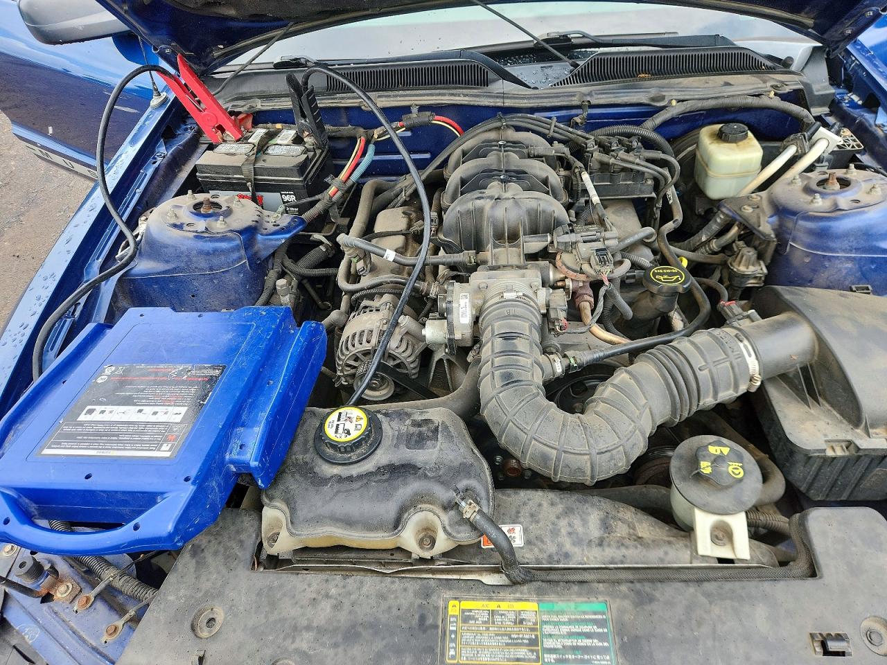 2006 Ford Mustang Blue vin: 1ZVFT80N965210309